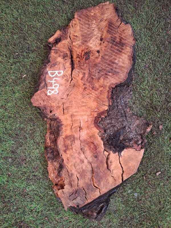 B498 Olivové dřevo 49x19x4,5 cm