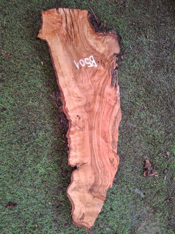 B501 Olivová deska 50x14x5 cm