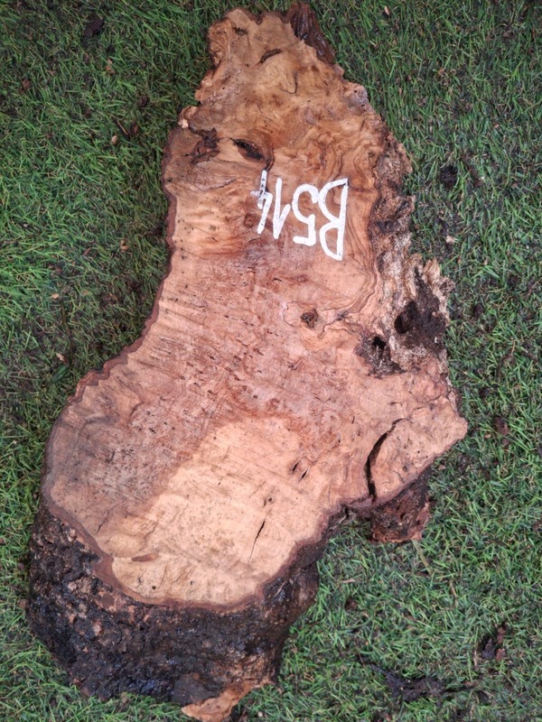 B514 Olivové dřevo 36x15x4,5 cm