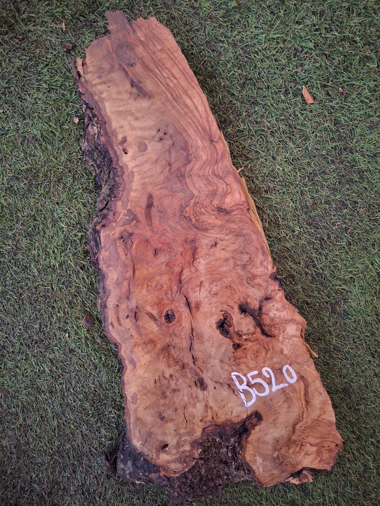 B520 Olivové dřevo 47x18x4,5 cm