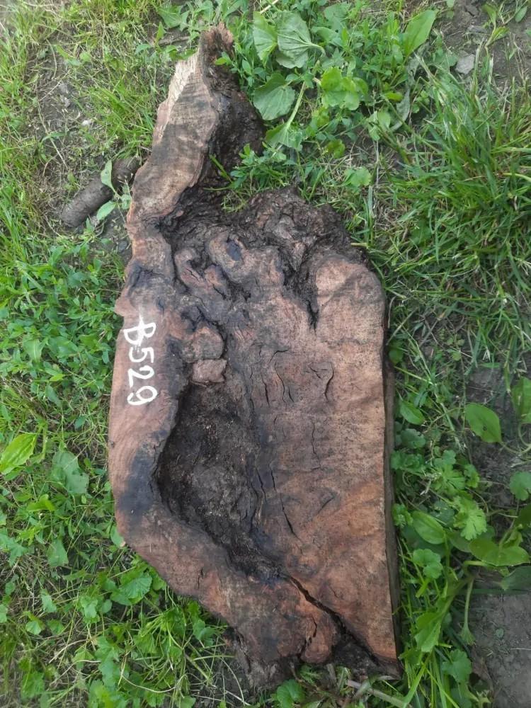 B529 Olivová deska 50x23x4 cm