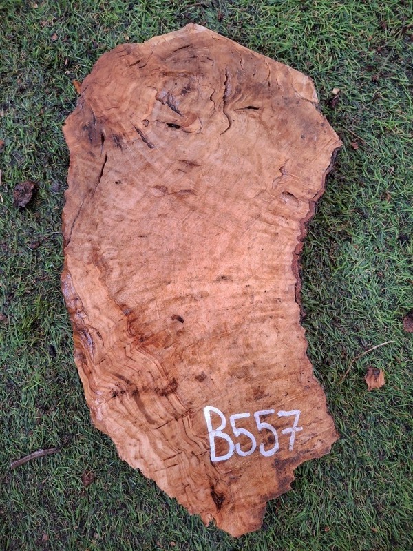 B557 Olivové dřevo 33x16x4,5 cm