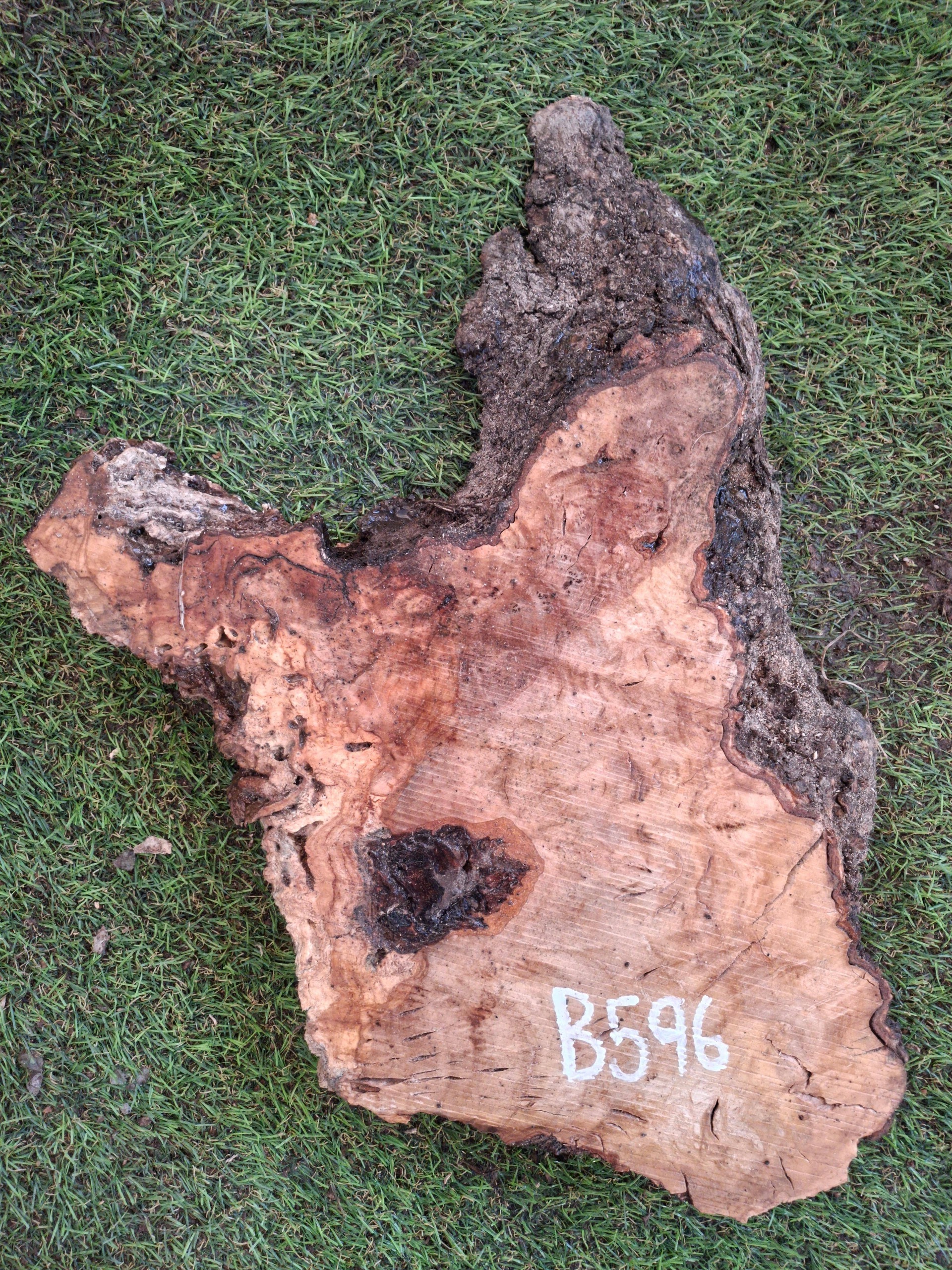 B596 Olivové dřevo 28x18x4,5 cm