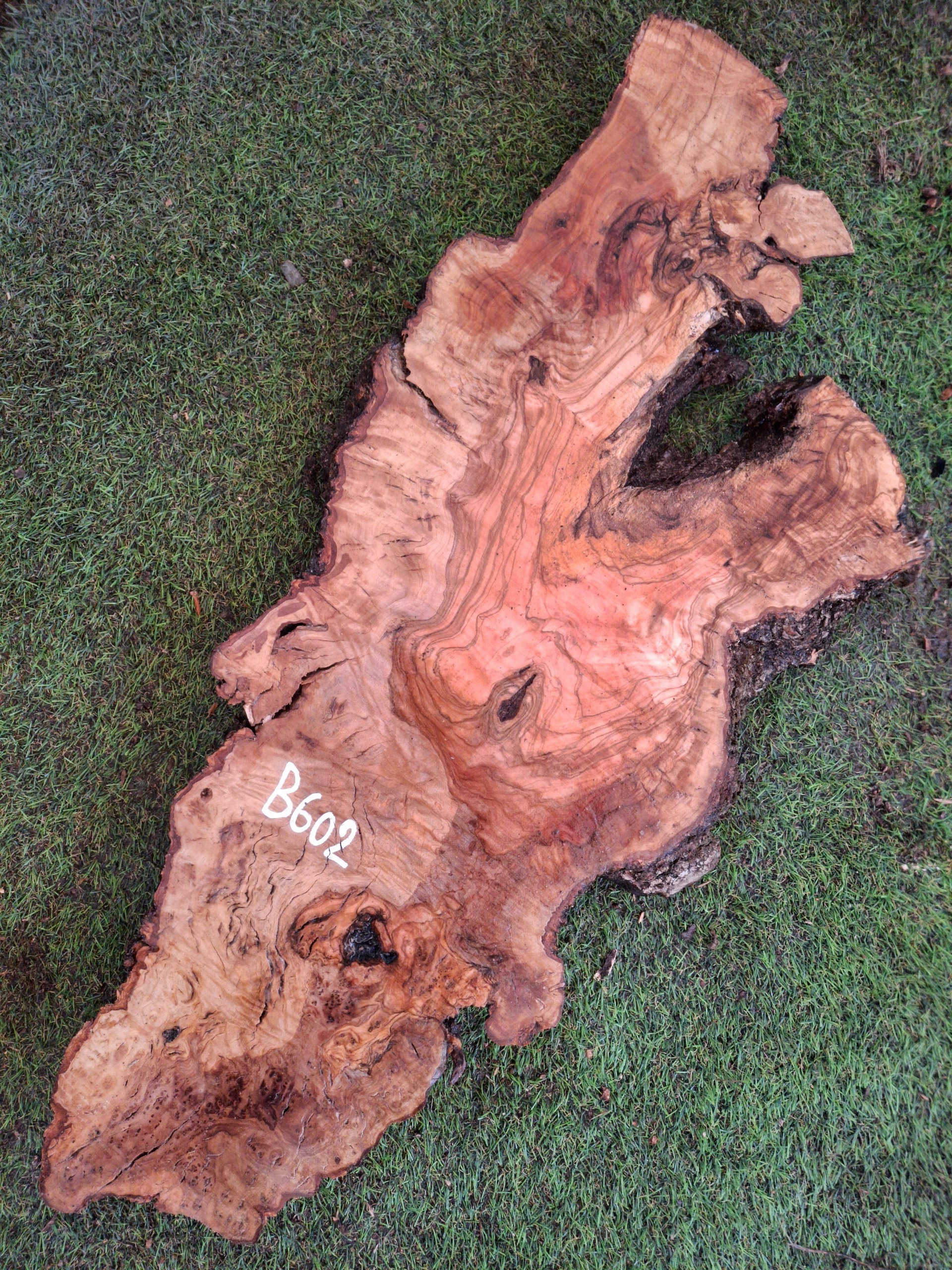 B602 Olivové dřevo 70x21x4,5 cm