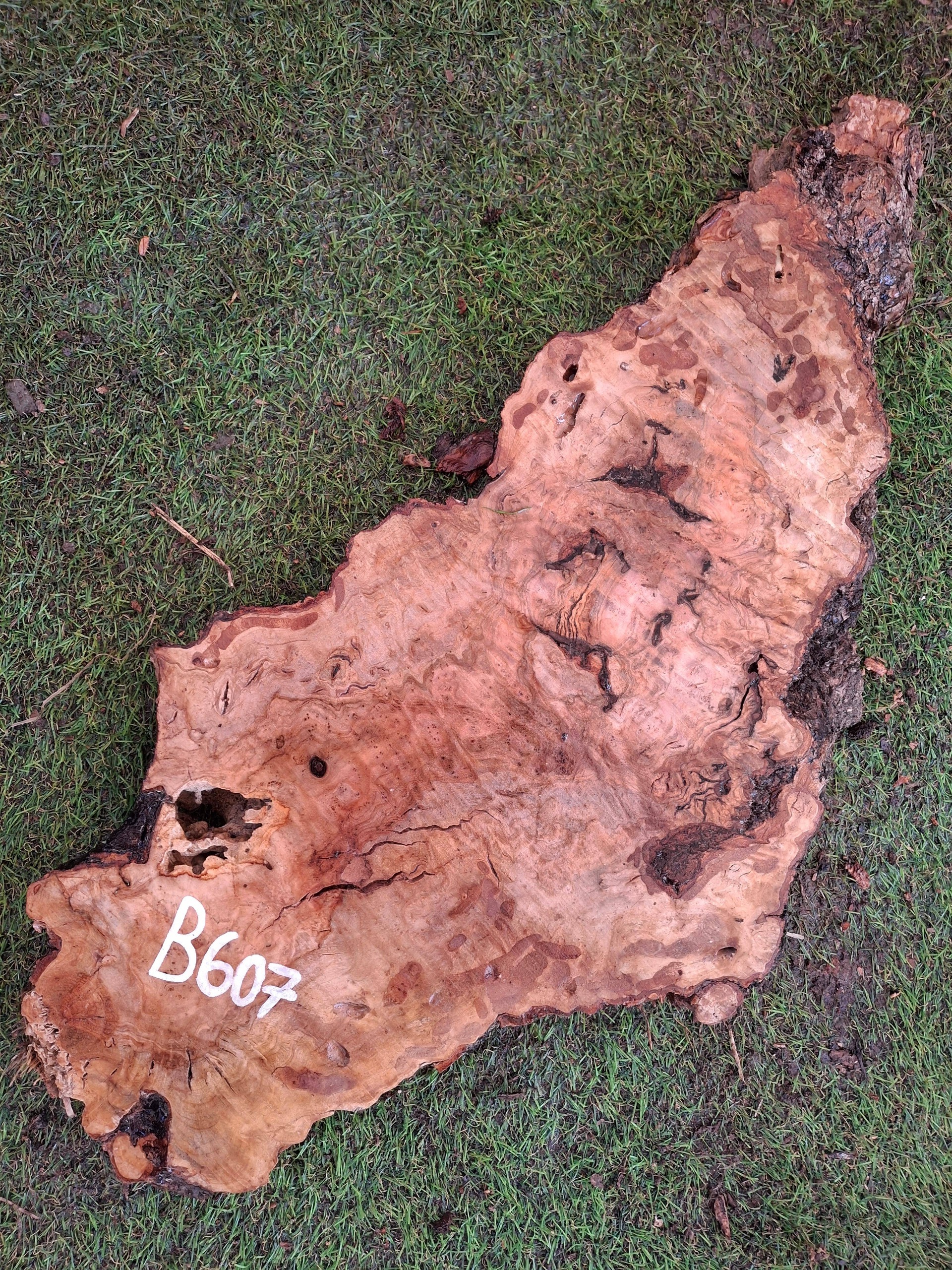 B607 Olivová deska 60x20x4,5 cm