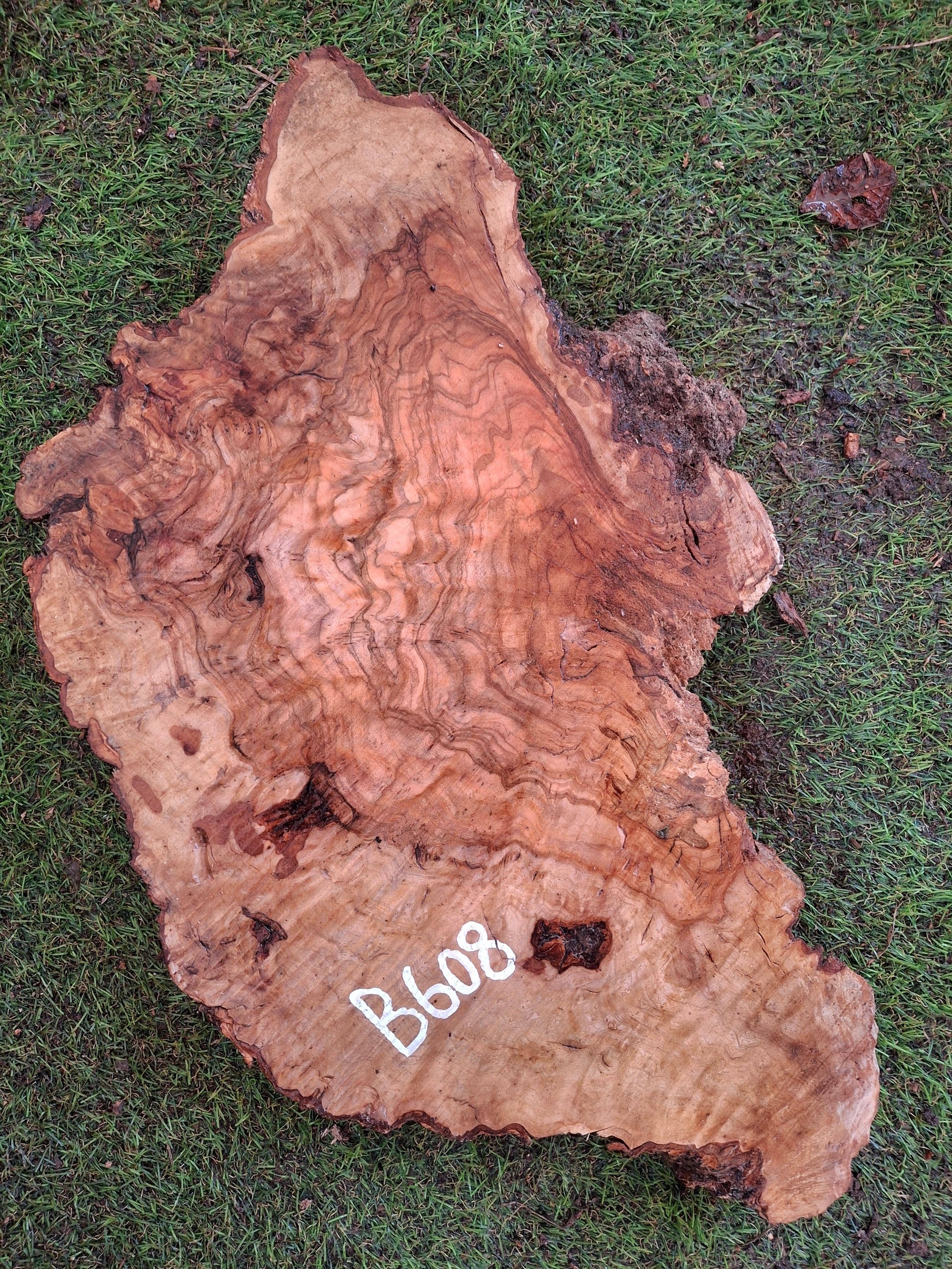 B608 Olivové dřevo 43x23x4,5 cm