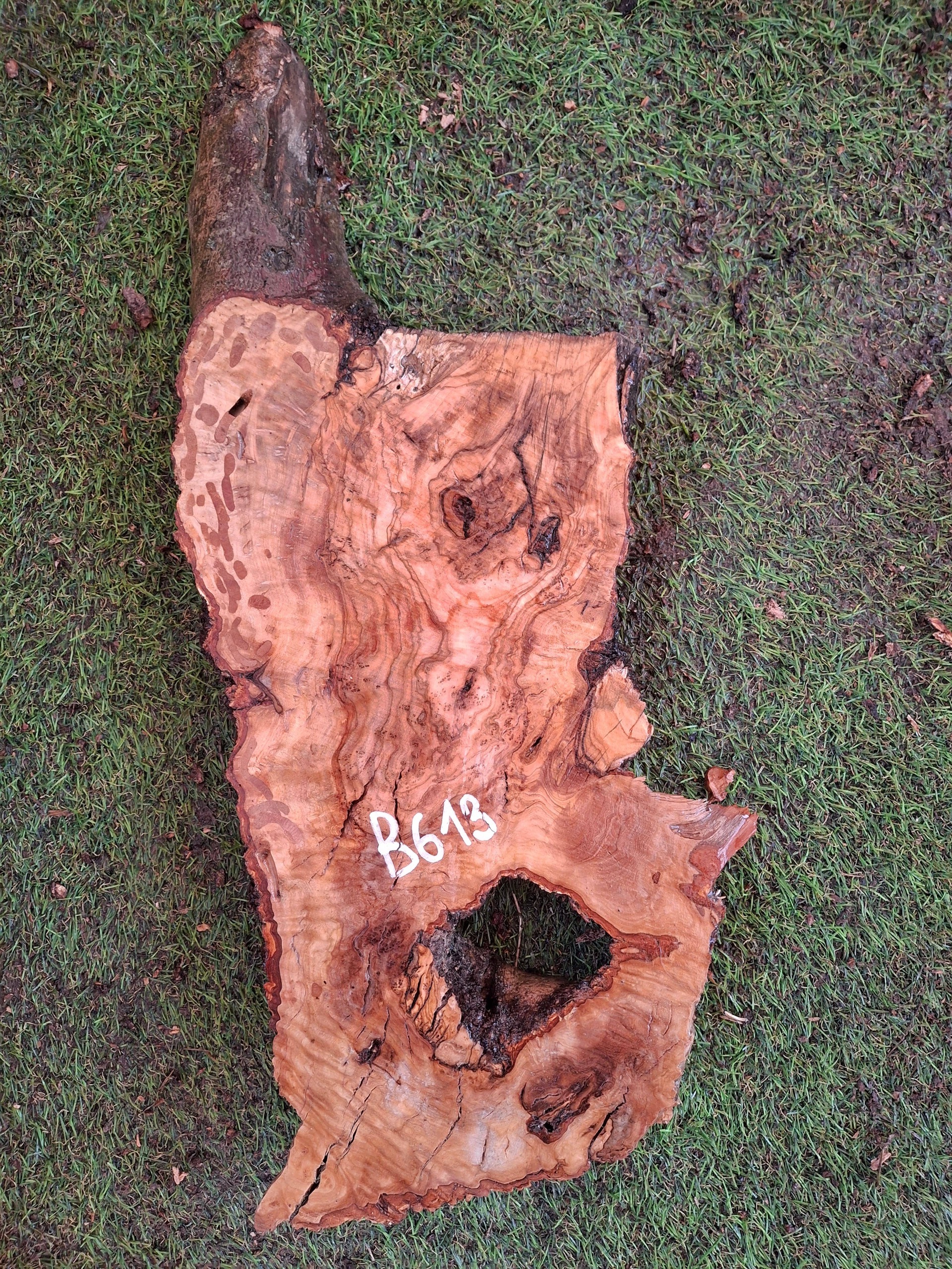 B613 Olivové dřevo 41x18x4,5 cm