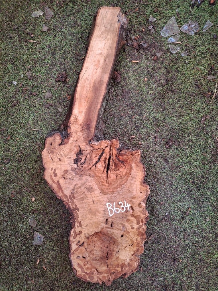 B634 Olivové dřevo 68x12x5 cm