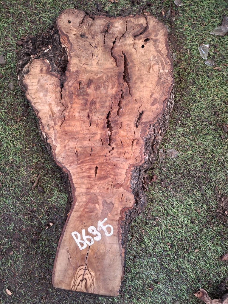 B635 Olivová deska 49x24x4,5 cm