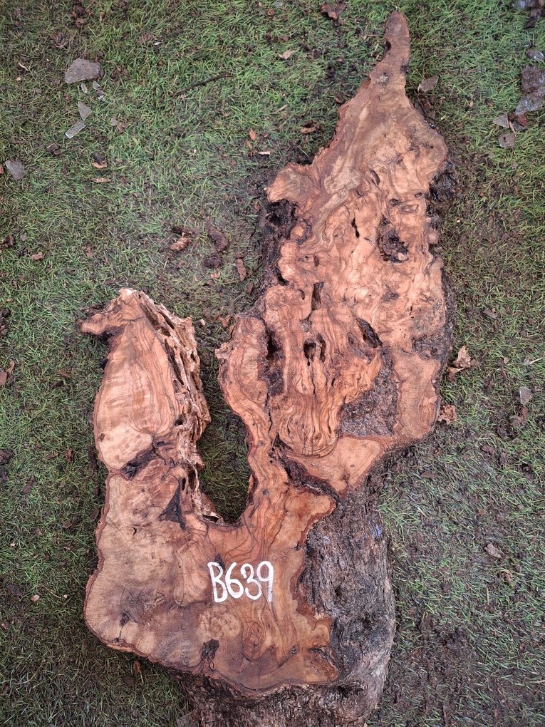 B639 Olivová deska 52x23x4,5 cm