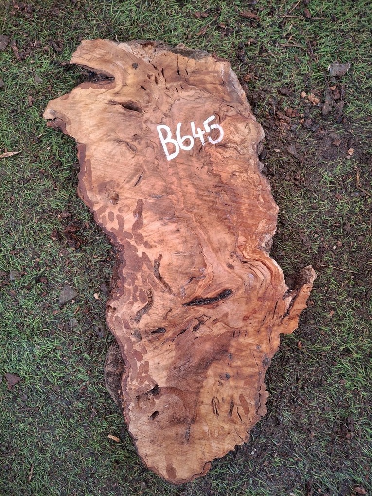 B645 Olivové dřevo 37x15x4,5 cm