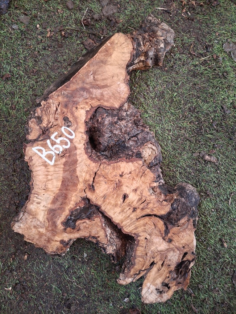 B650 Olivová deska 38x20x4,5 cm