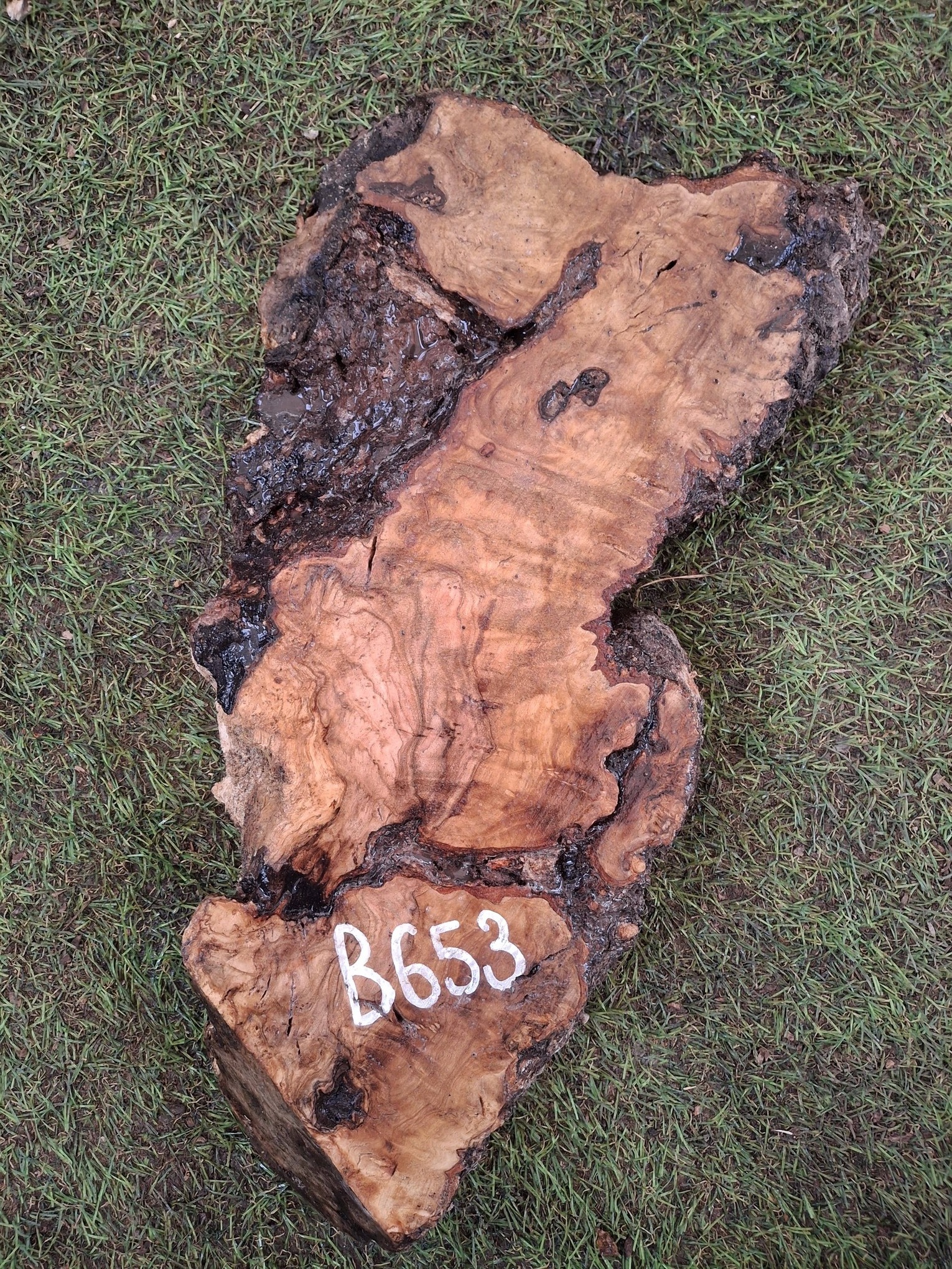 B653 Olivové dřevo 40x14x4,5 cm