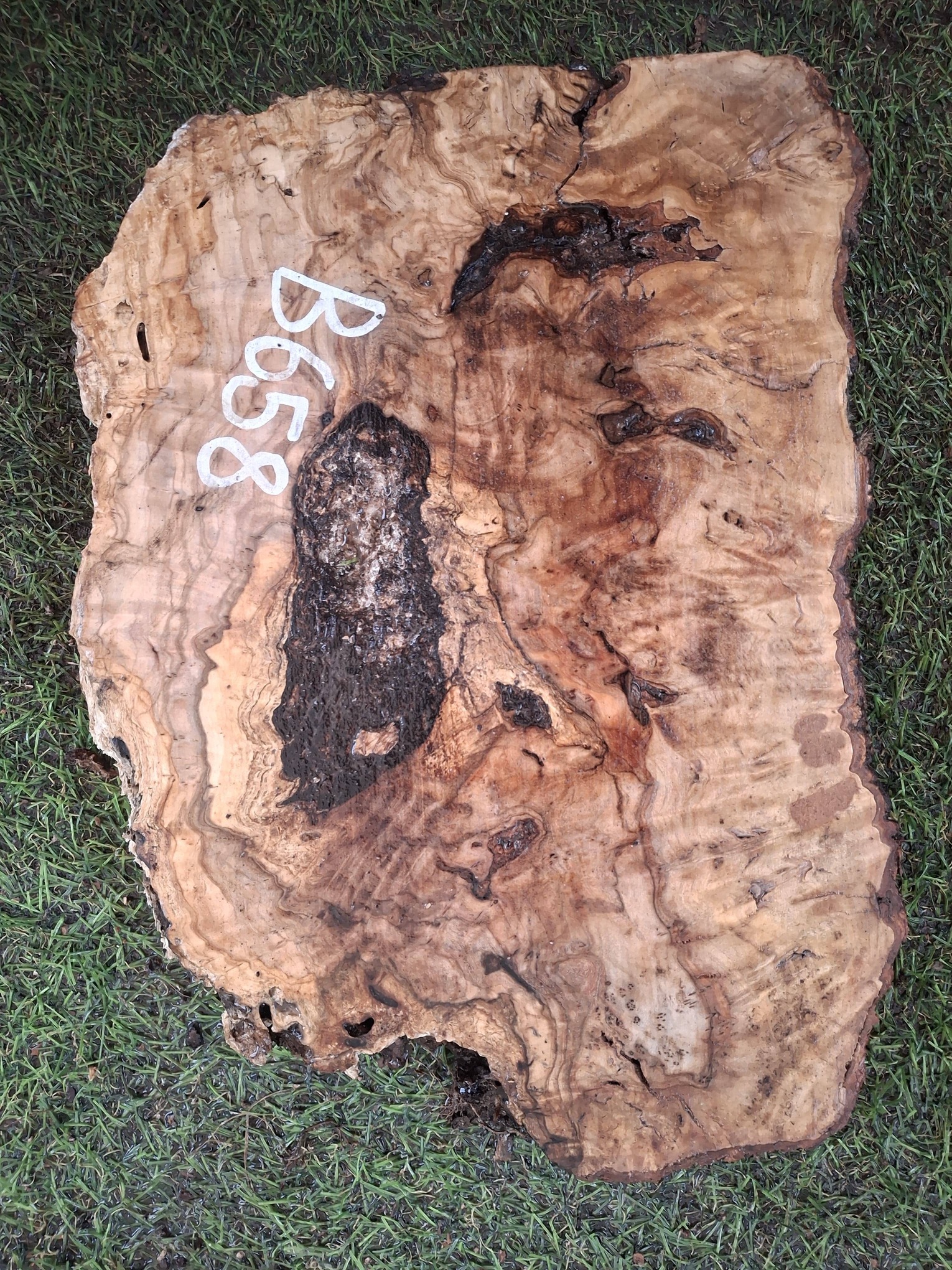 B658 Olivová deska 29x21x4,5 cm