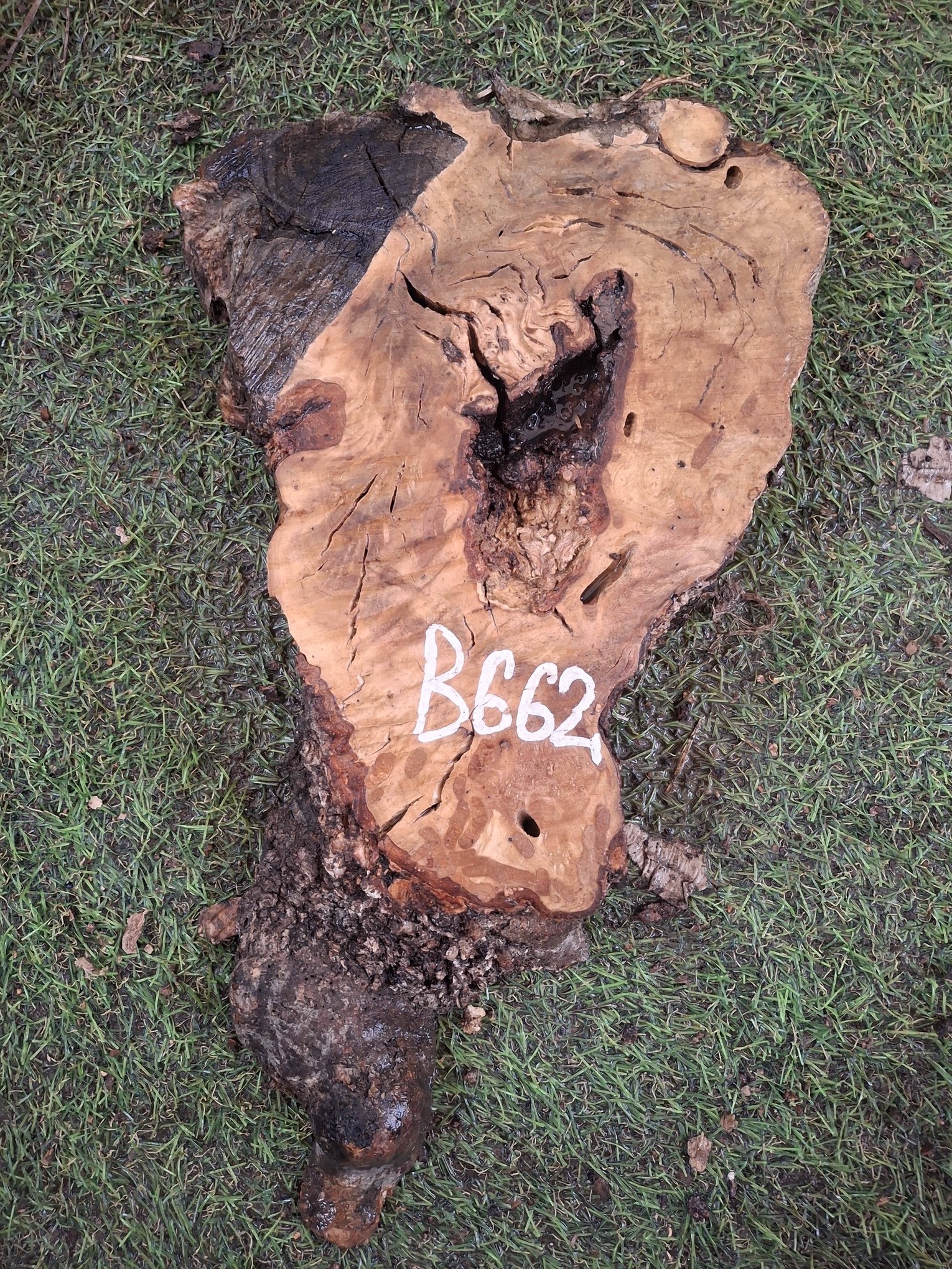 B662 Olivová deska 29x11x4,5 cm