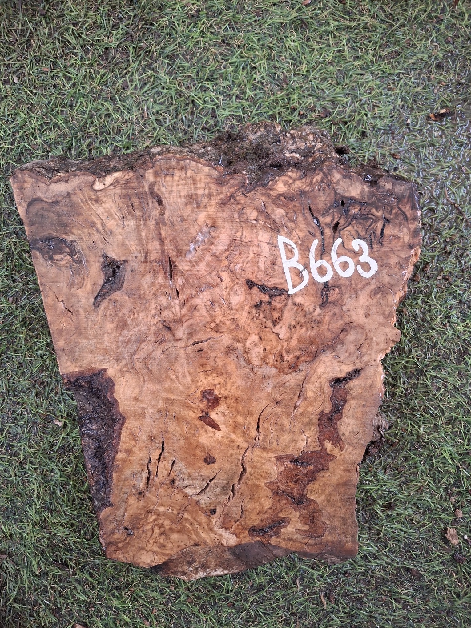 B663 Olivové dřevo 27x17x6 cm