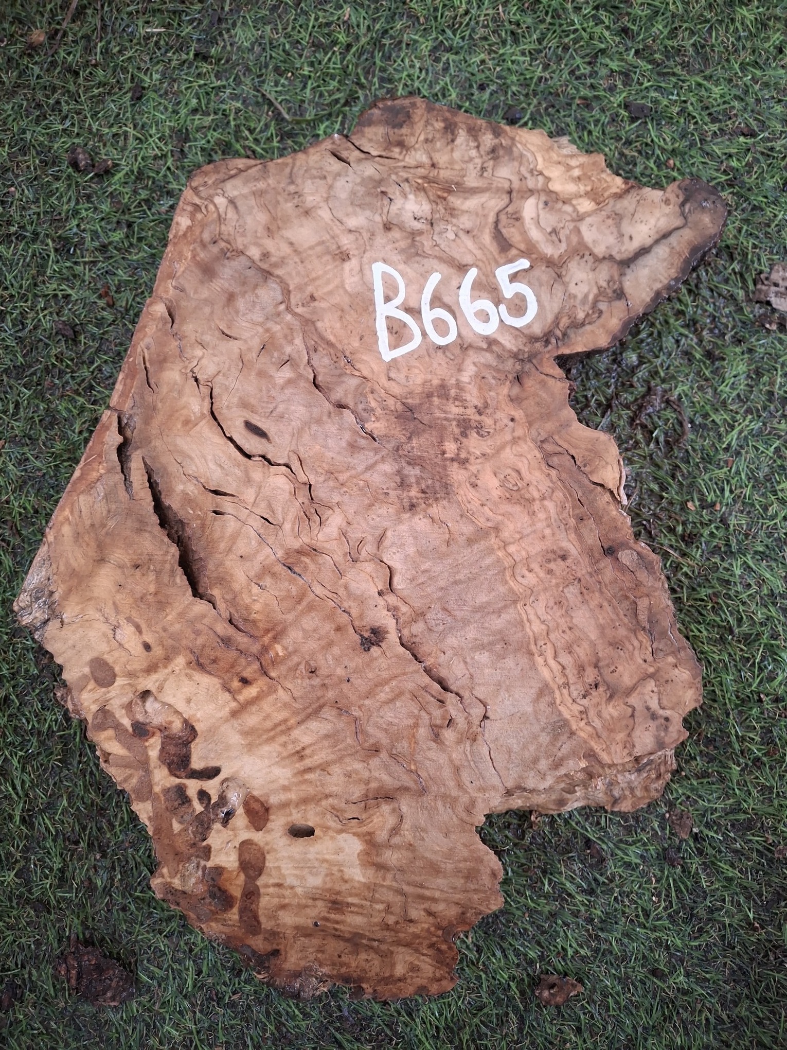 B665 Olivové dřevo 29x17x6 cm