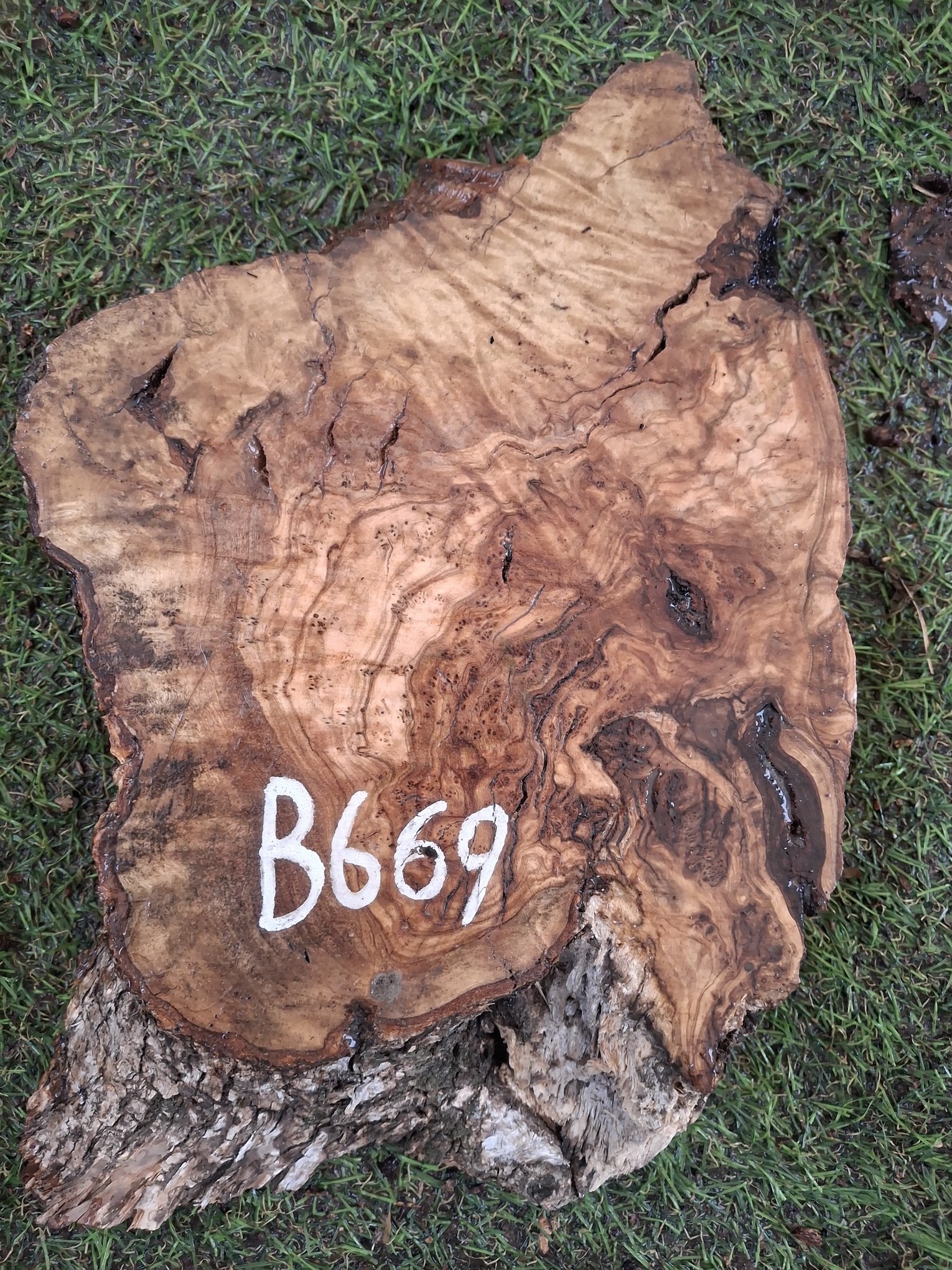 B669 Olivové dřevo 24x17x4,5 cm