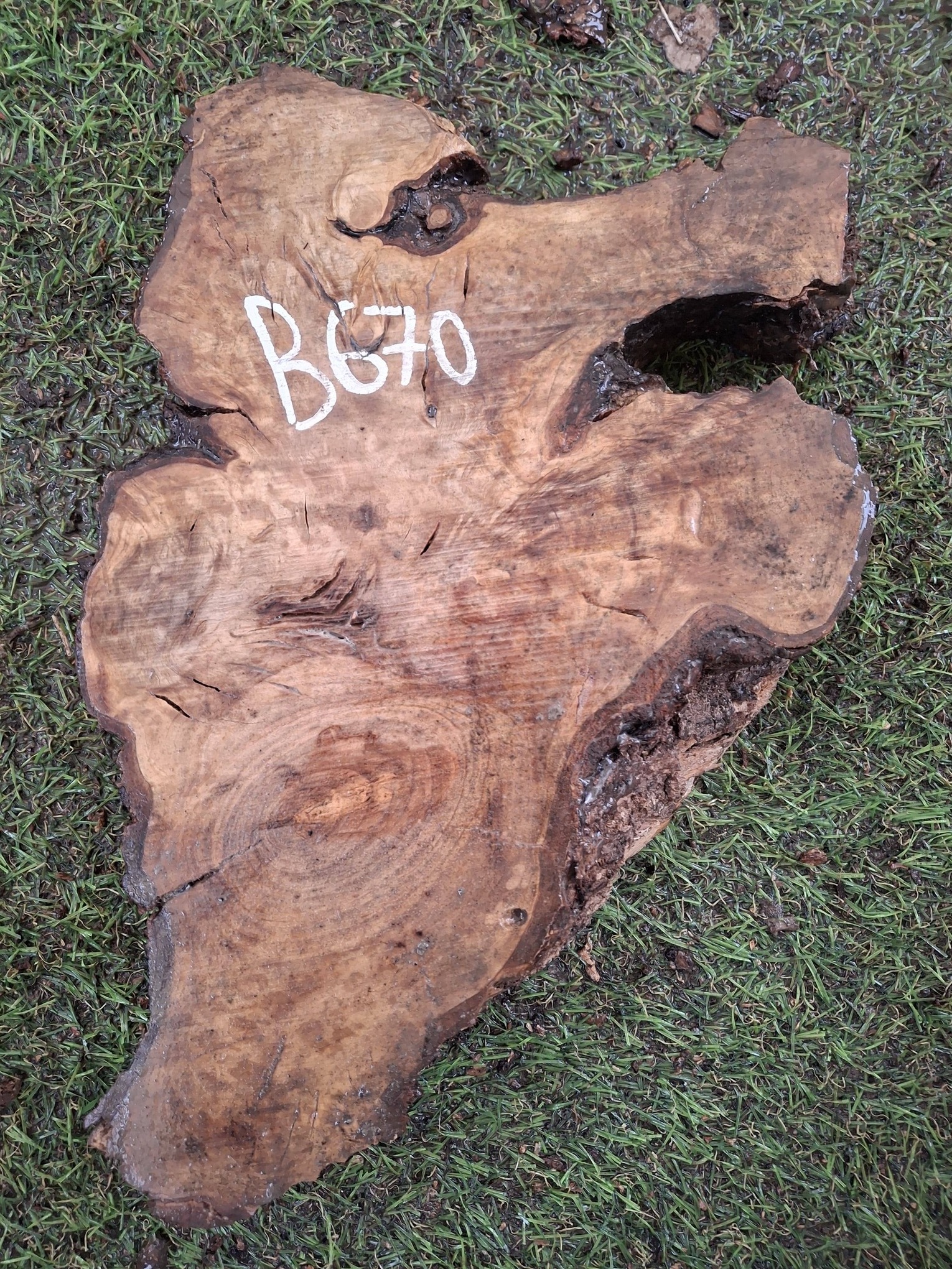 B670 Olivová deska 27x13x4,5 cm