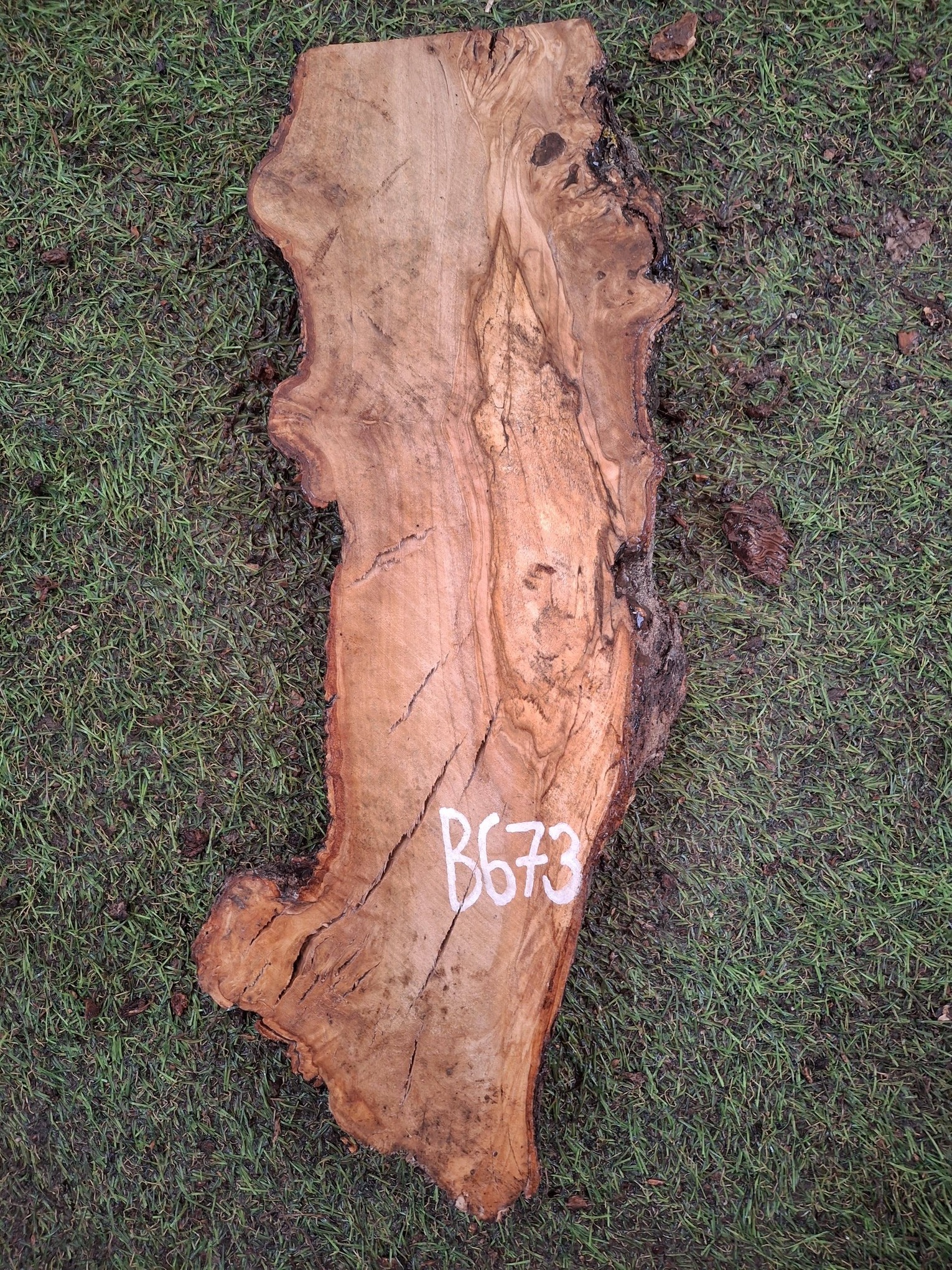 B673 Olivové dřevo 41x11x4,5 cm