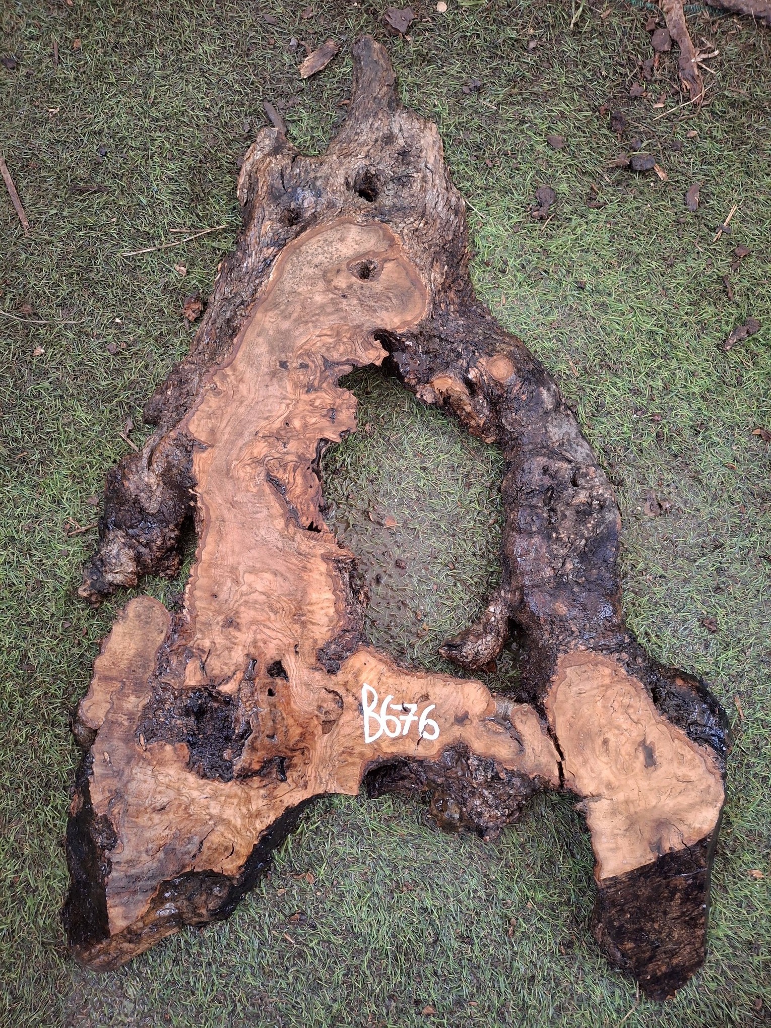 B676 Olivové dřevo 57x24x4,5 cm