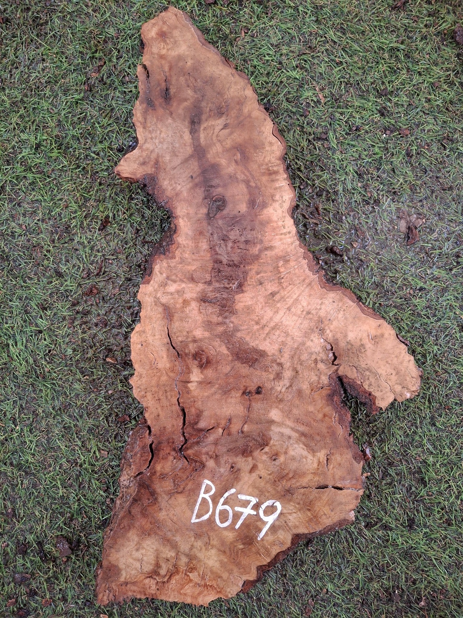 B679 Olivové dřevo 41x11x4,5 cm