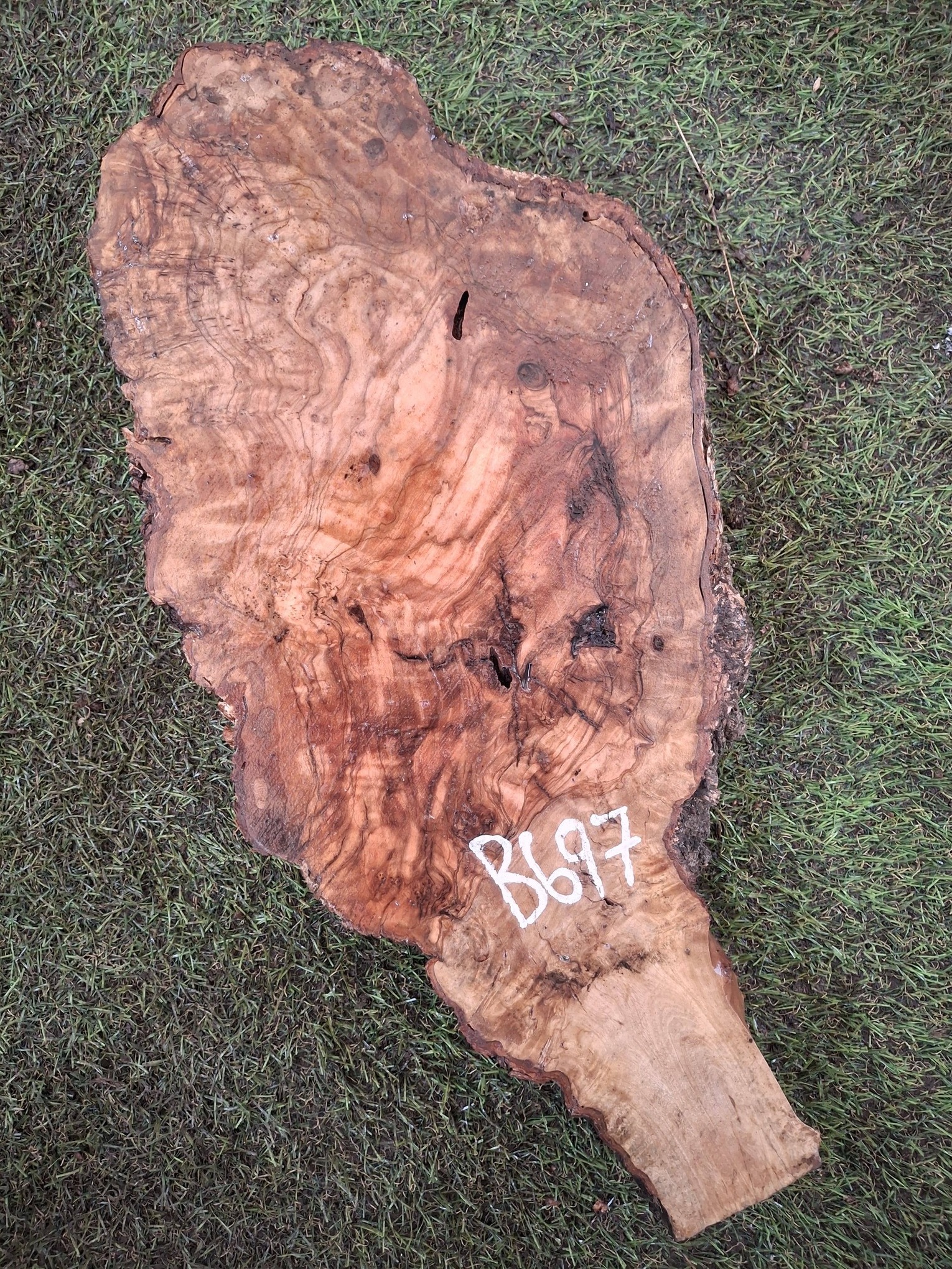 B697 Olivové dřevo 40x19x6 cm