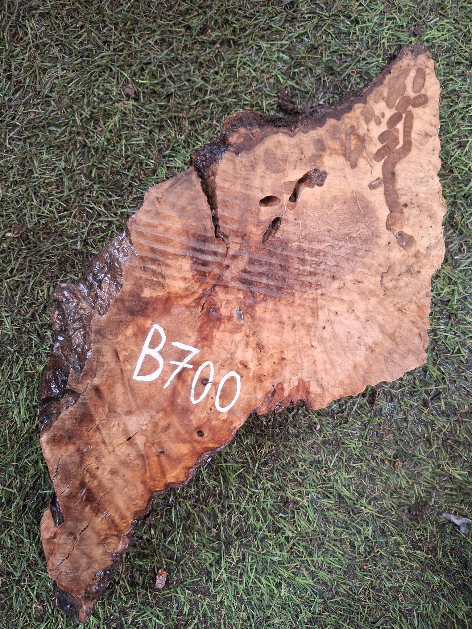 B700 Olivové dřevo 30x12x4,5 cm