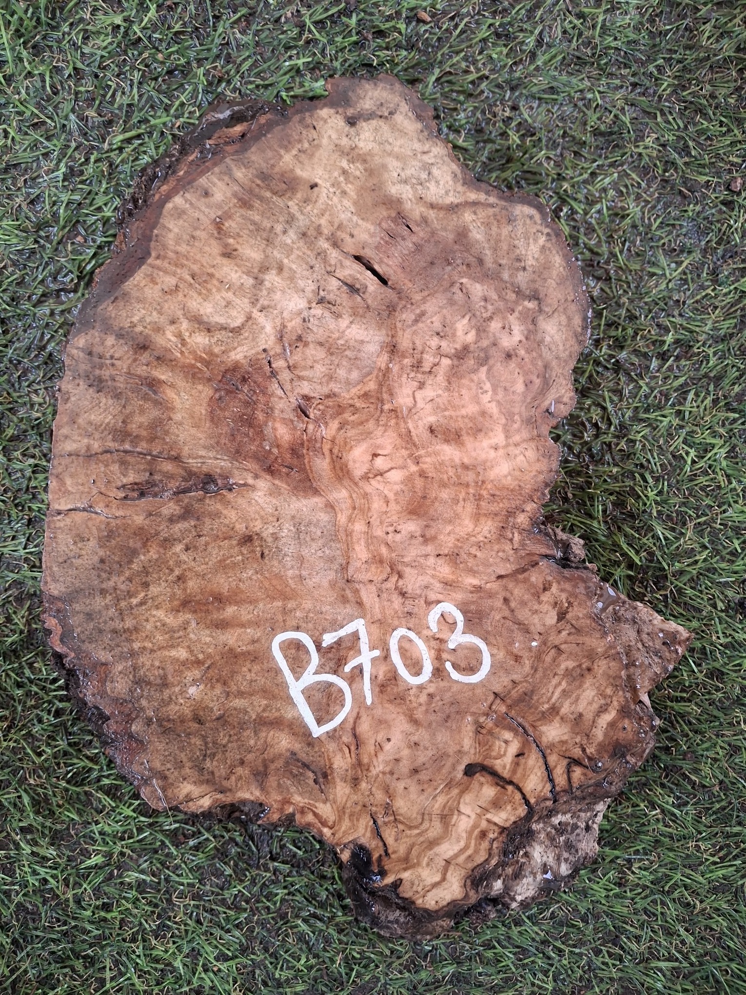 B703 Olivová deska 24x15x4,5 cm