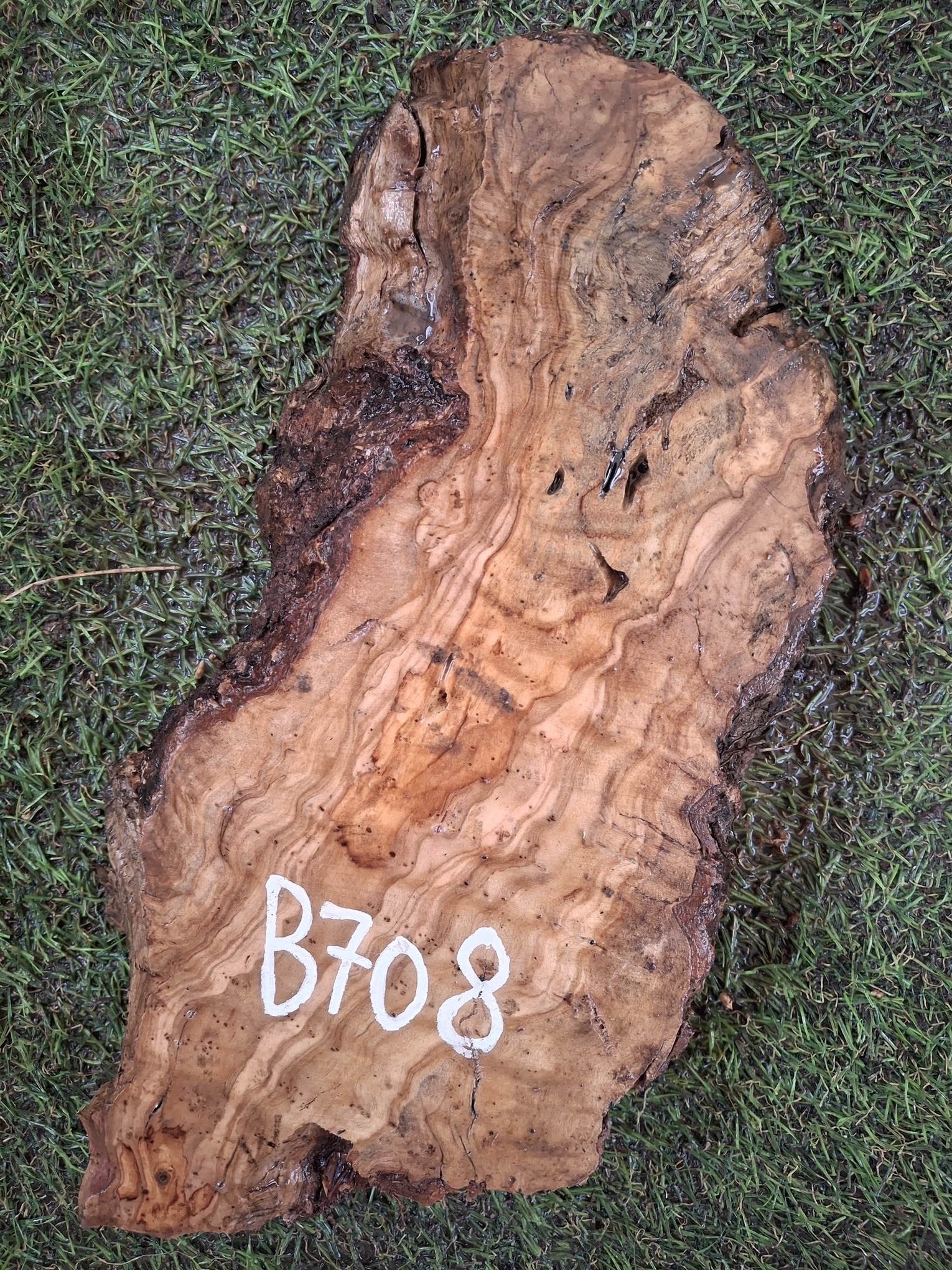 B708 Olivové dřevo 26x13x6 cm