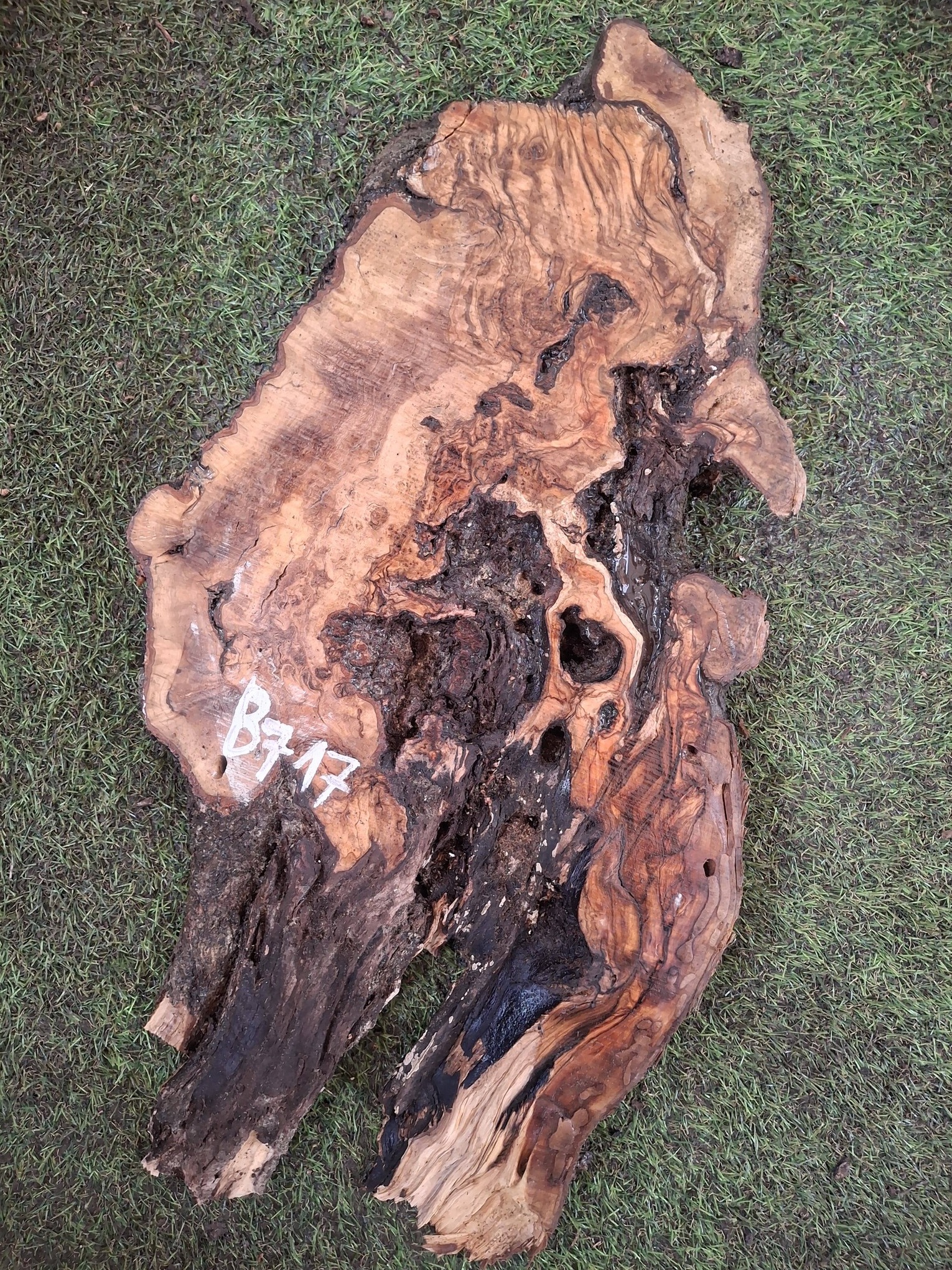 B717 Olivová deska 62x27x4,5 cm