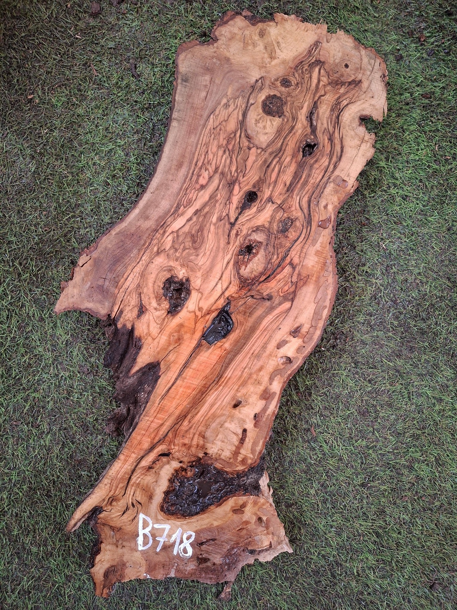 B718 Olivové dřevo 61x19x4,5 cm