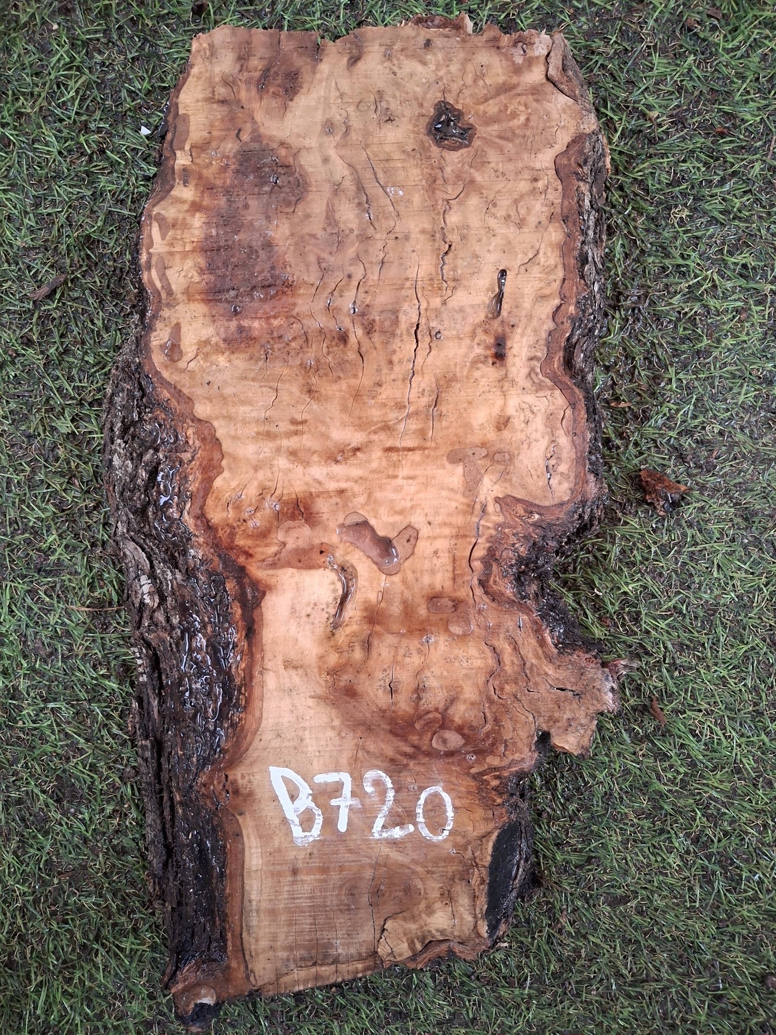 B720 Olivové dřevo 36x18x4,5 cm