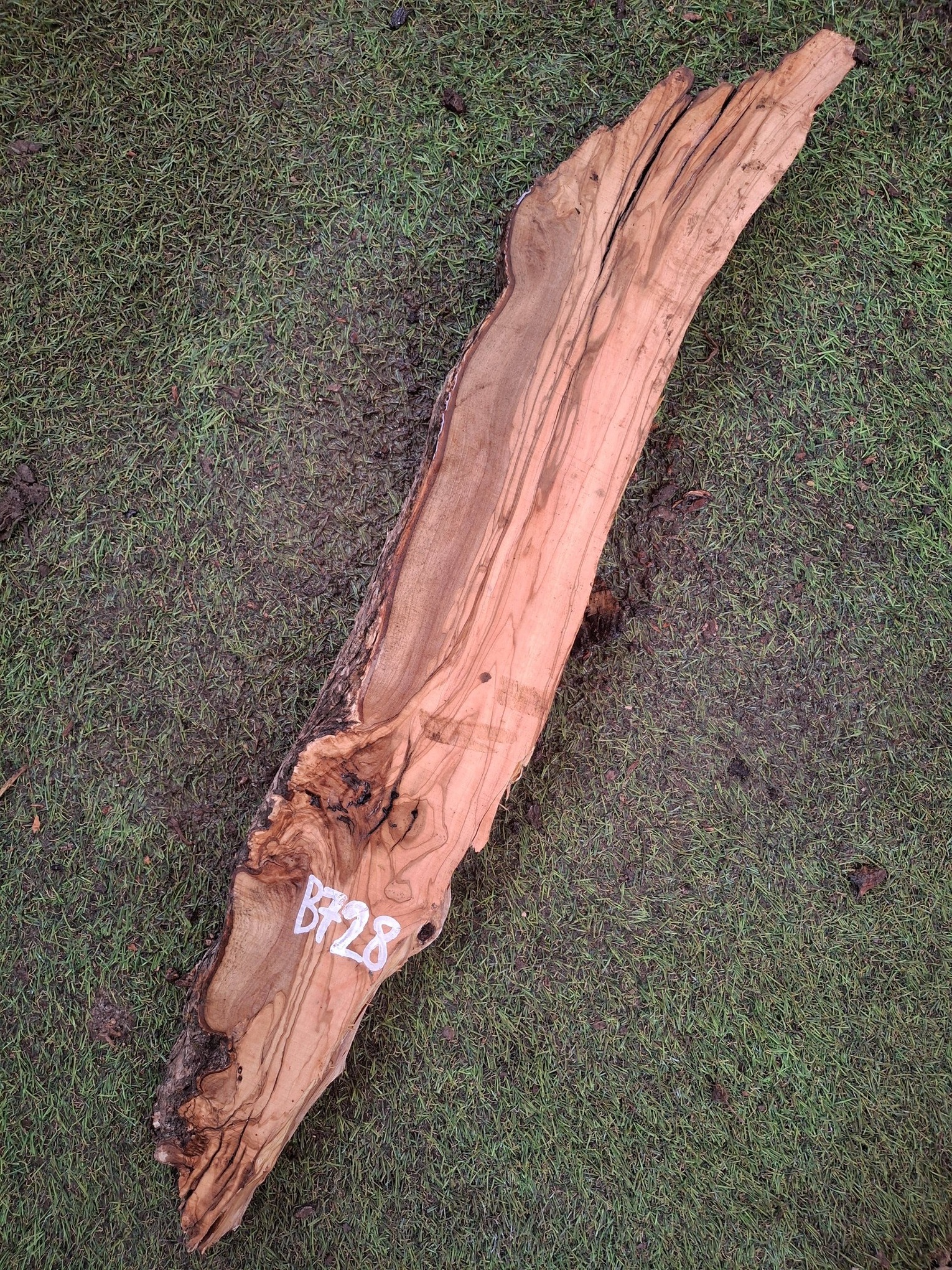 B278 Olivová deska 63x11x4,5 cm