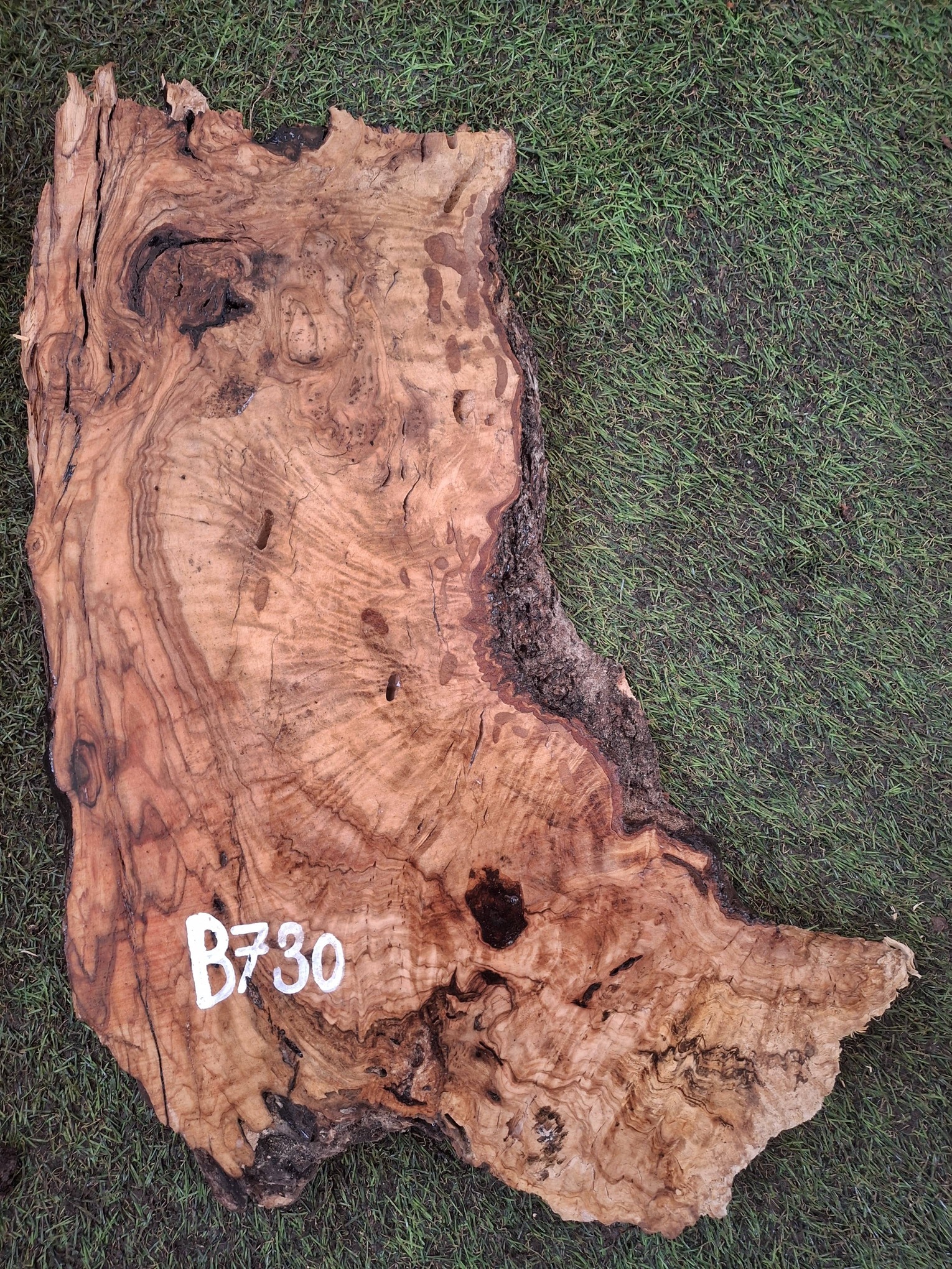 B730 Olivová deska 43x19x4,5 cm