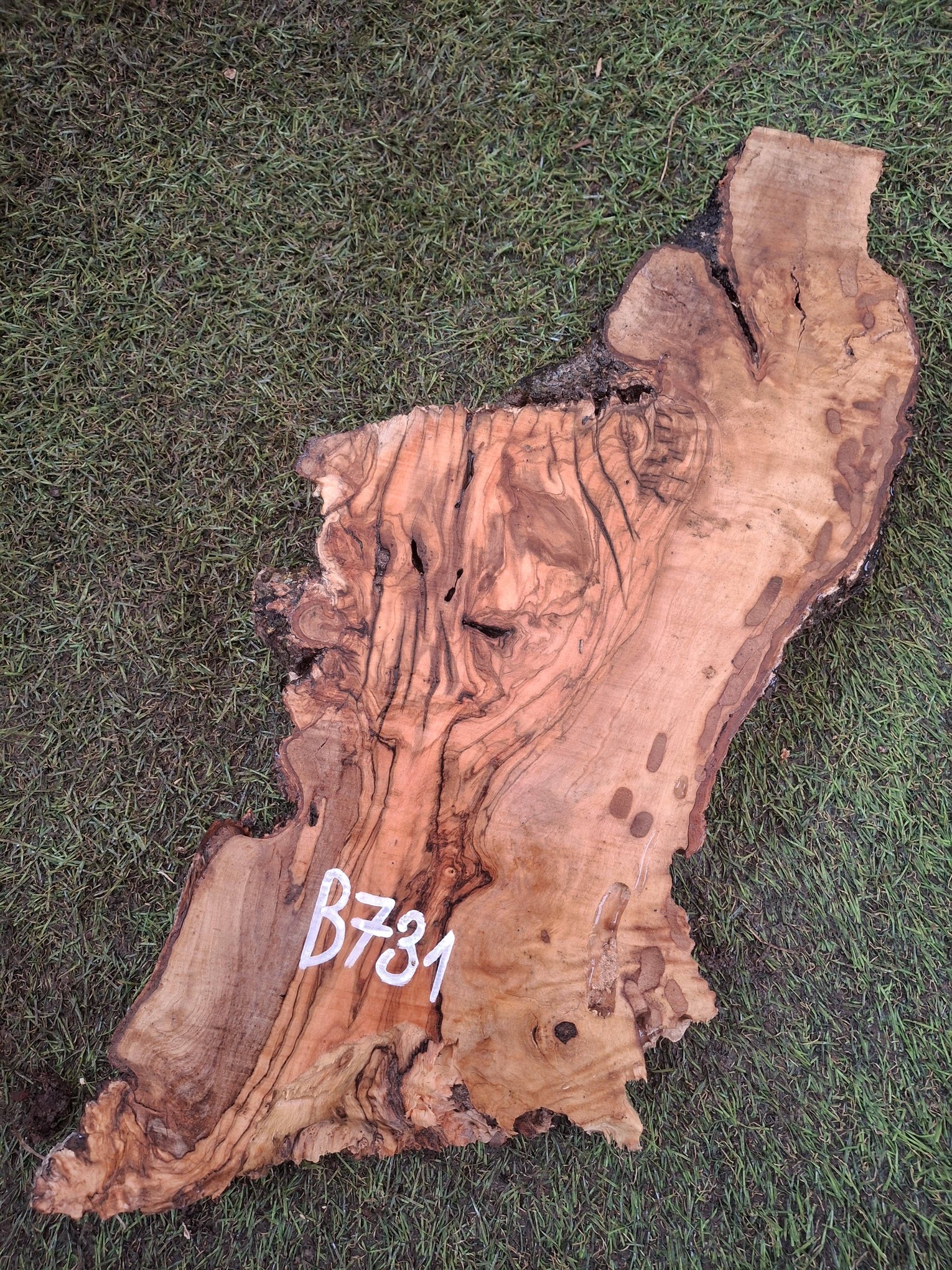 B731 Olivové dřevo 36x15x4,5 cm