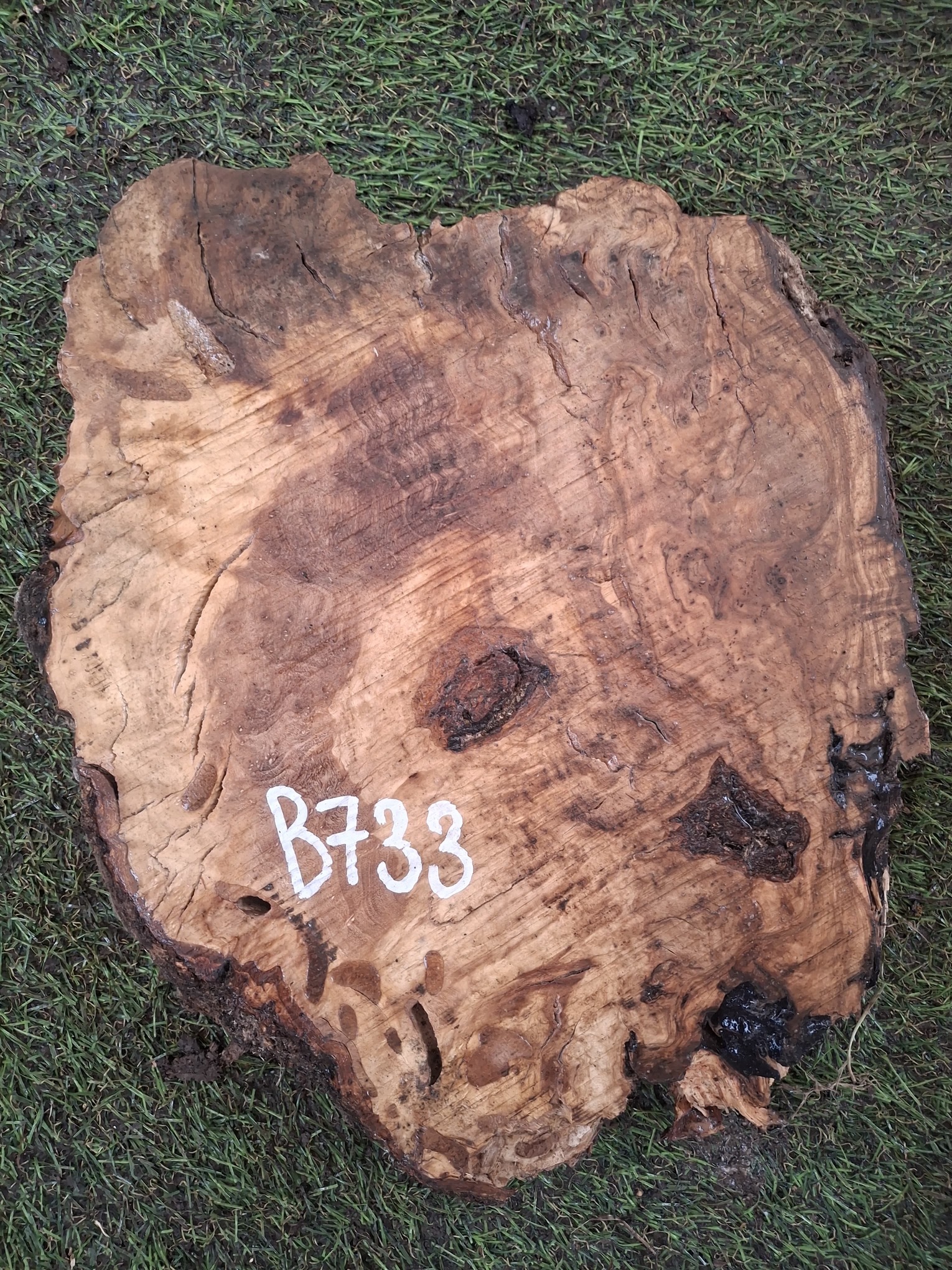 B733 Olivové dřevo 26x25x4,5 cm