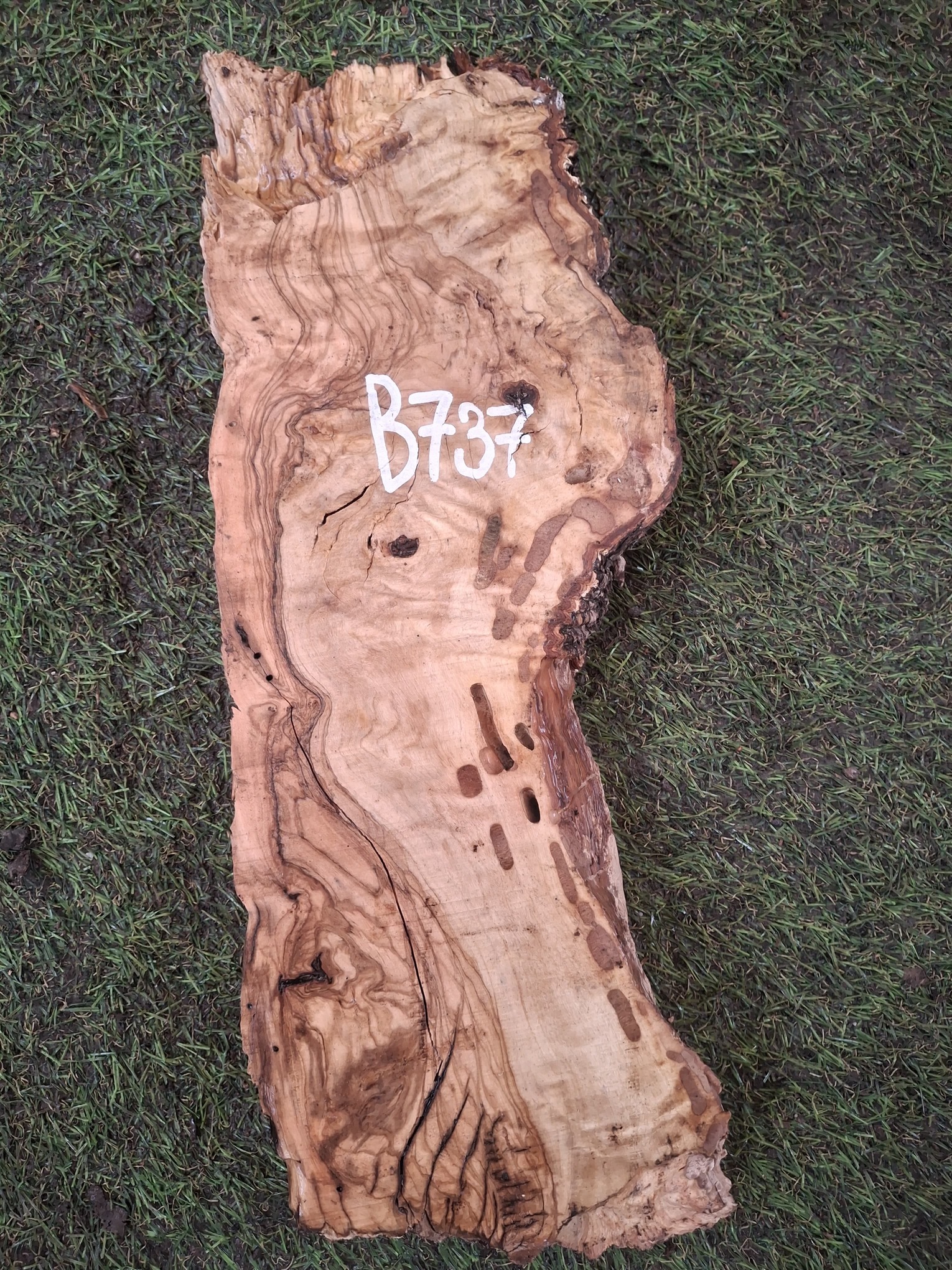 B737 Olivové dřevo 39x11x4,5 cm