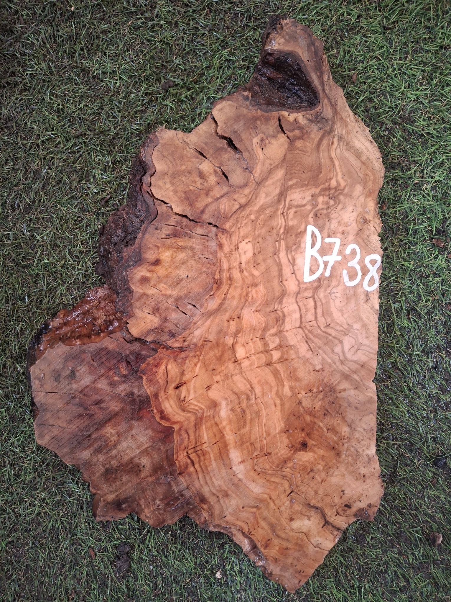 B738 Olivová deska 33x18x4,5 cm