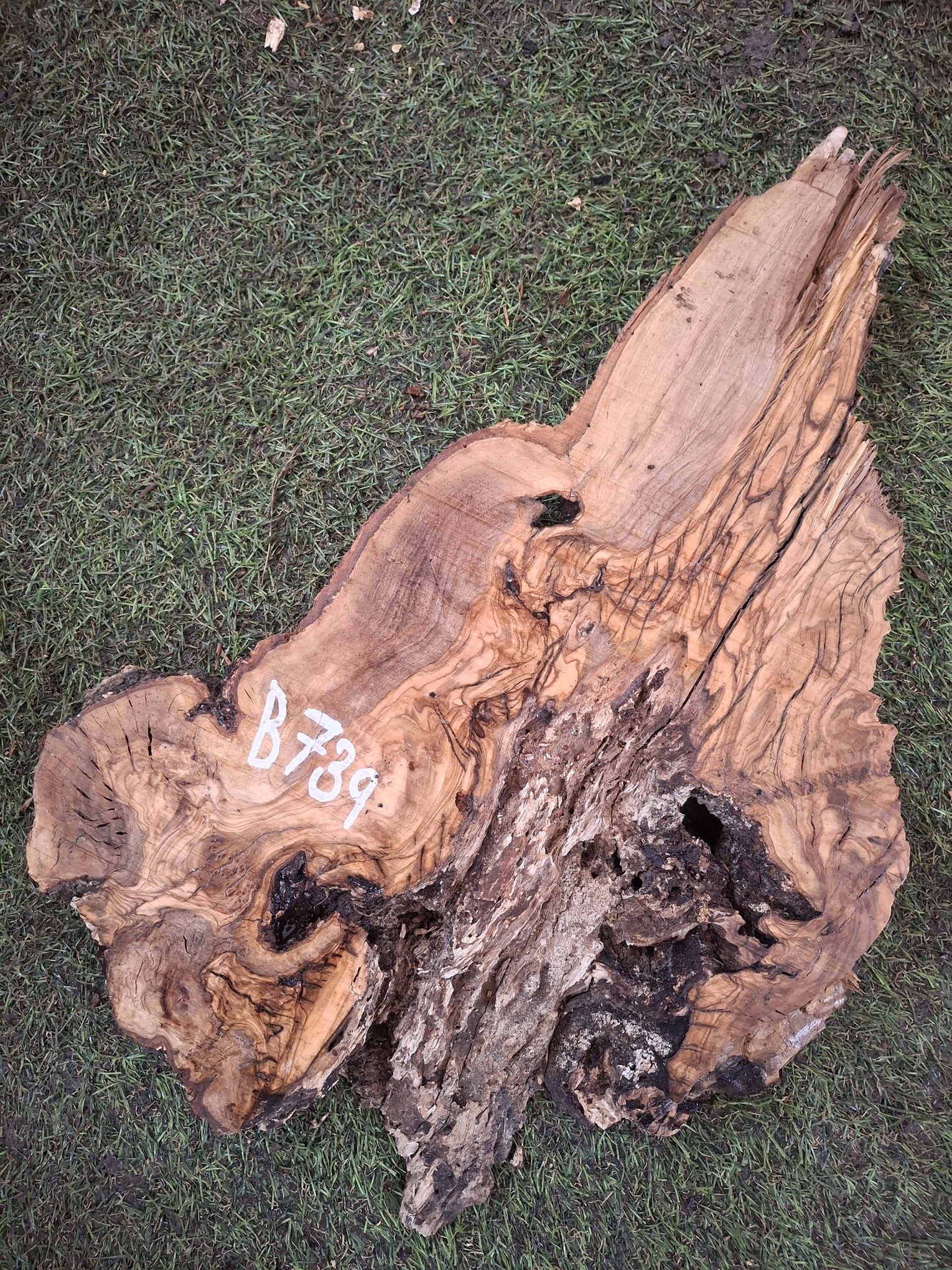 B739 Olivové dřevo 36x25x4,5 cm