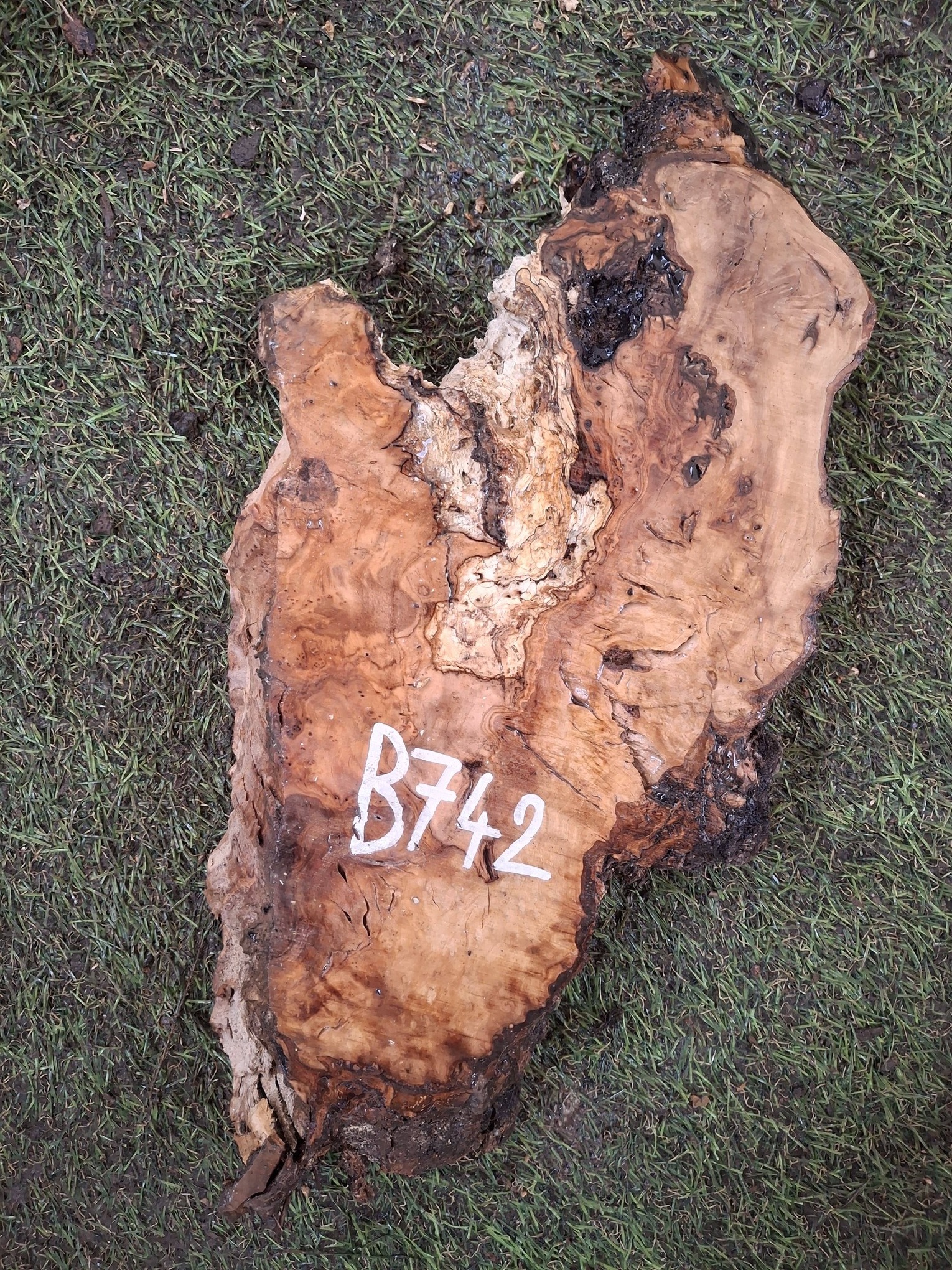 B742 Olivová deska 38x14x4,5 cm