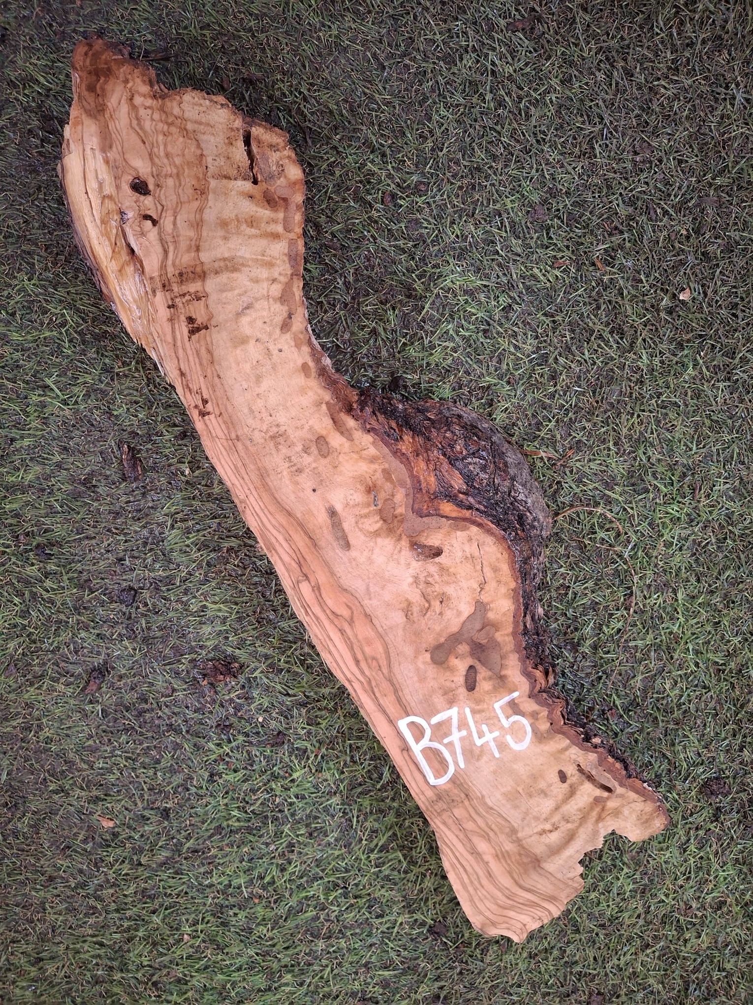 B745 Olivové dřevo 43x8x4,5 cm