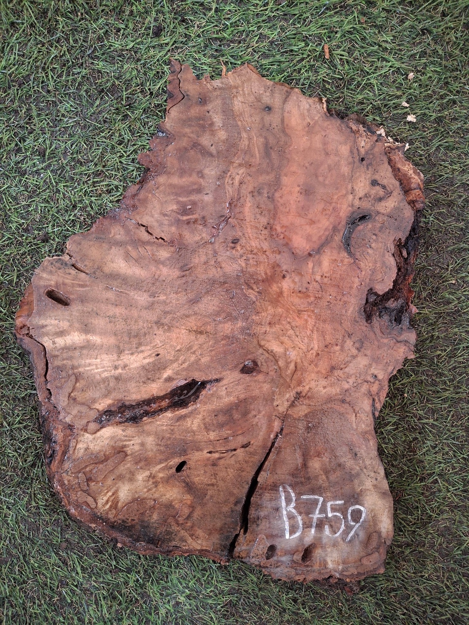 B759 Olivové dřevo 30x17x4,5 cm