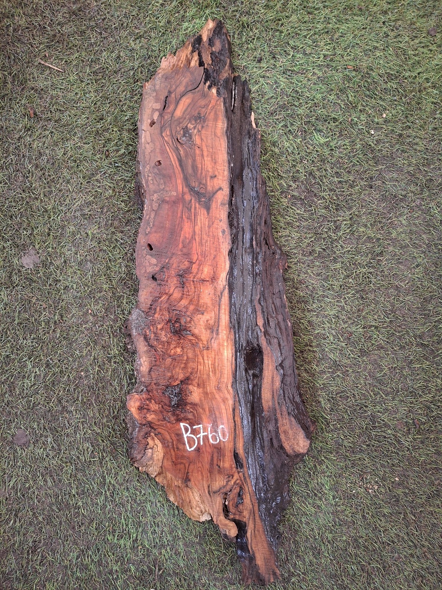 B760 Olivová deska 61x10x4,5 cm