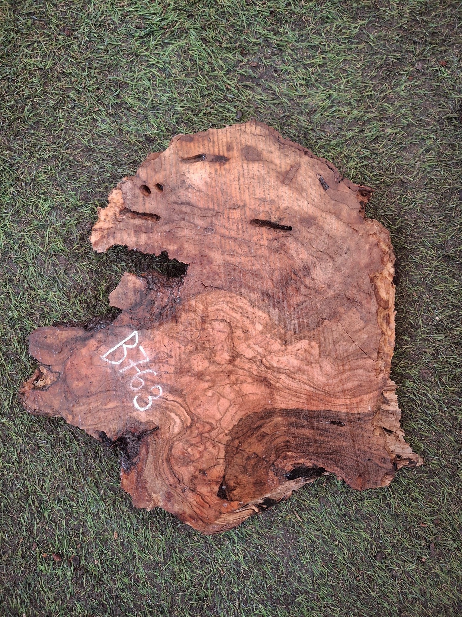 B763 Olivové dřevo 29x22x4,5 cm