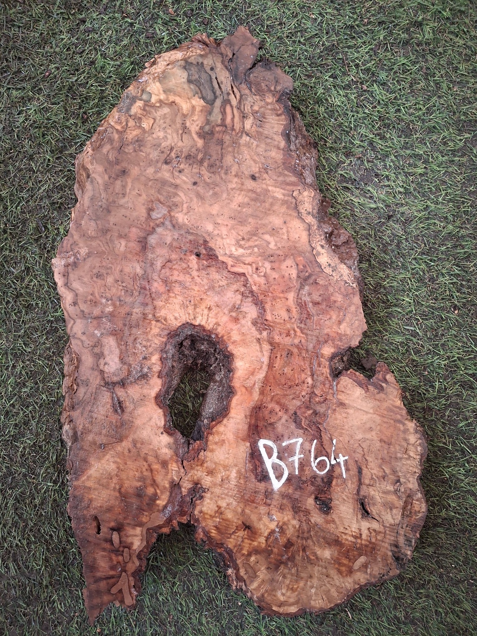 B764 Olivová deska 42x24x4,5 cm