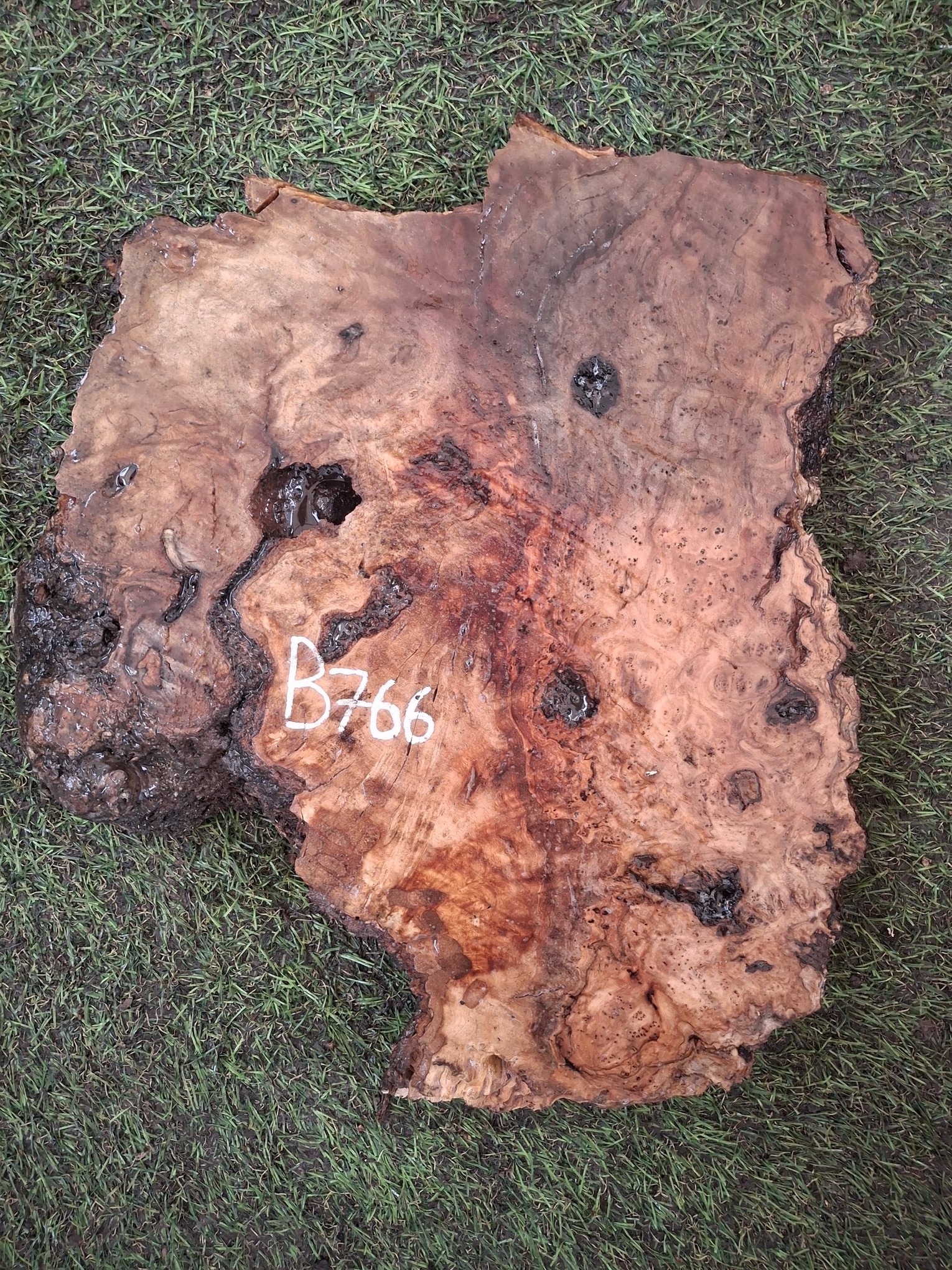 B766 Olivová deska 29x25x4,5 cm