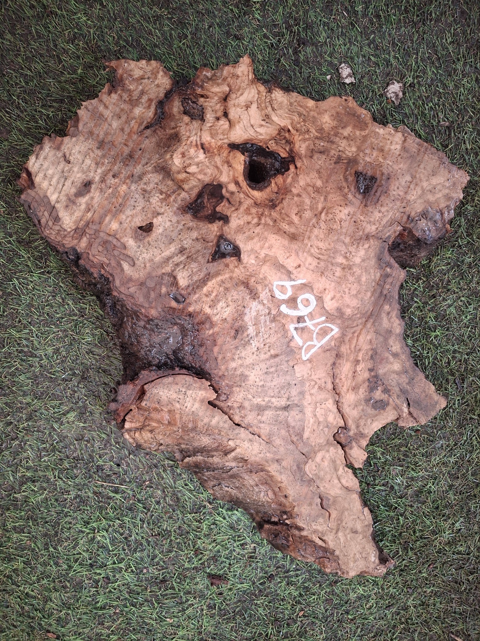 B769 Olivové dřevo 34x22x4,5 cm