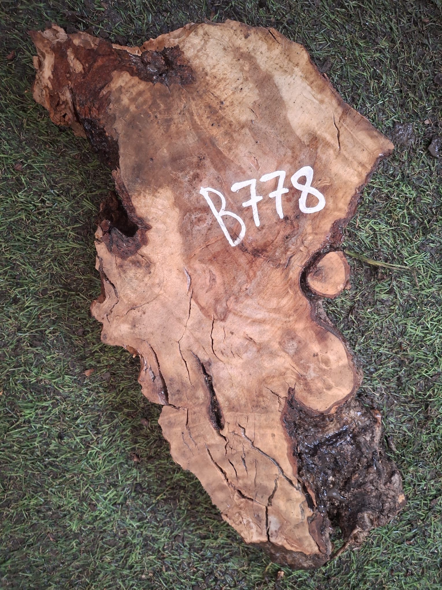 B778 Olivová deska 37x10x4,5 cm