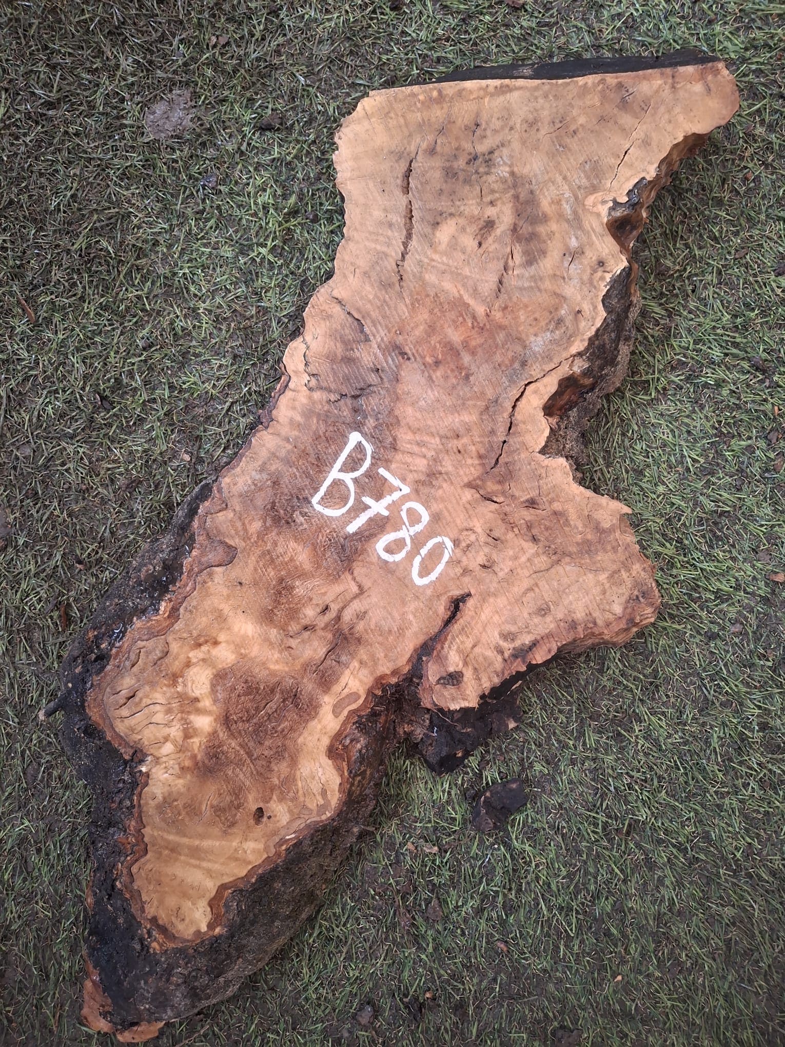 B780 Olivová deska 52x12x4,5 cm